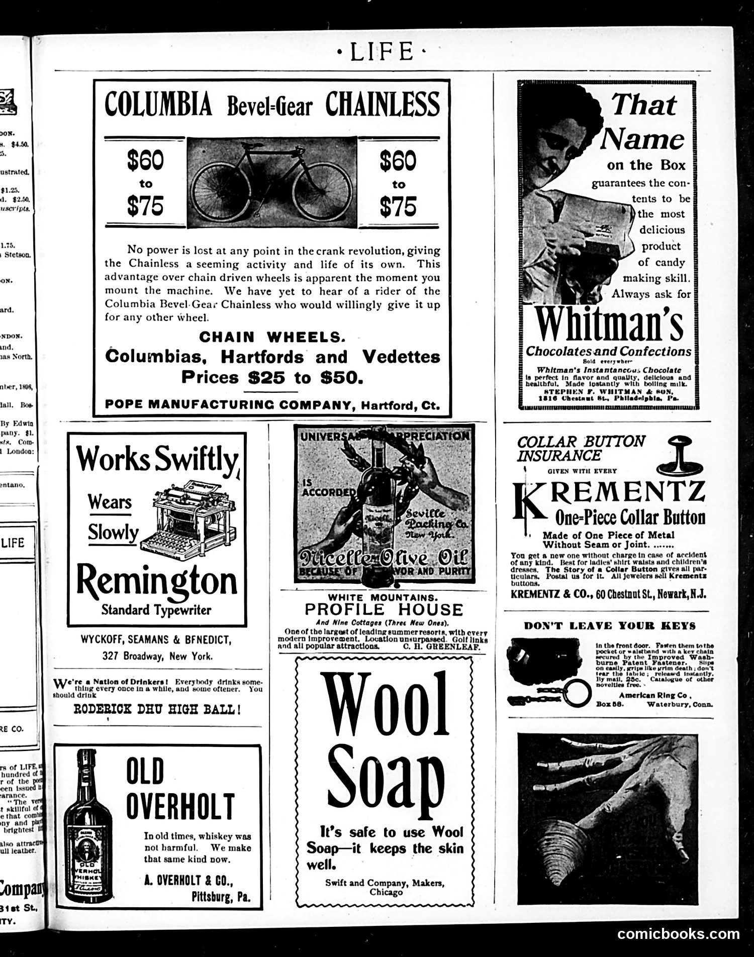 Life — June 29, 1899 — page 17 of 21