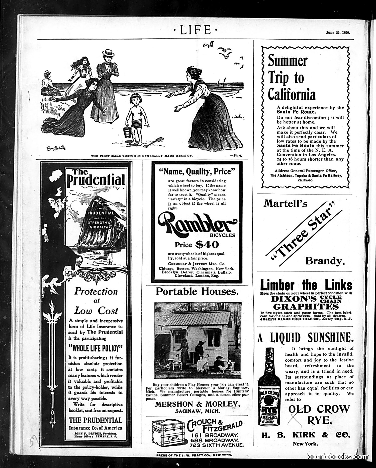 Life — June 29, 1899 — page 20 of 21
