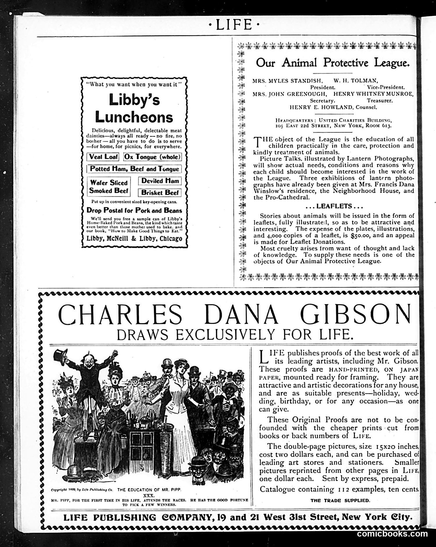 Life — July 13, 1899 — page 2 of 20