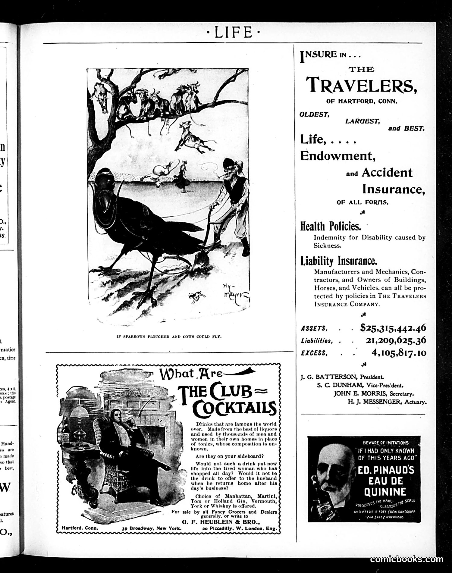 Life — July 20, 1899 — page 19 of 20