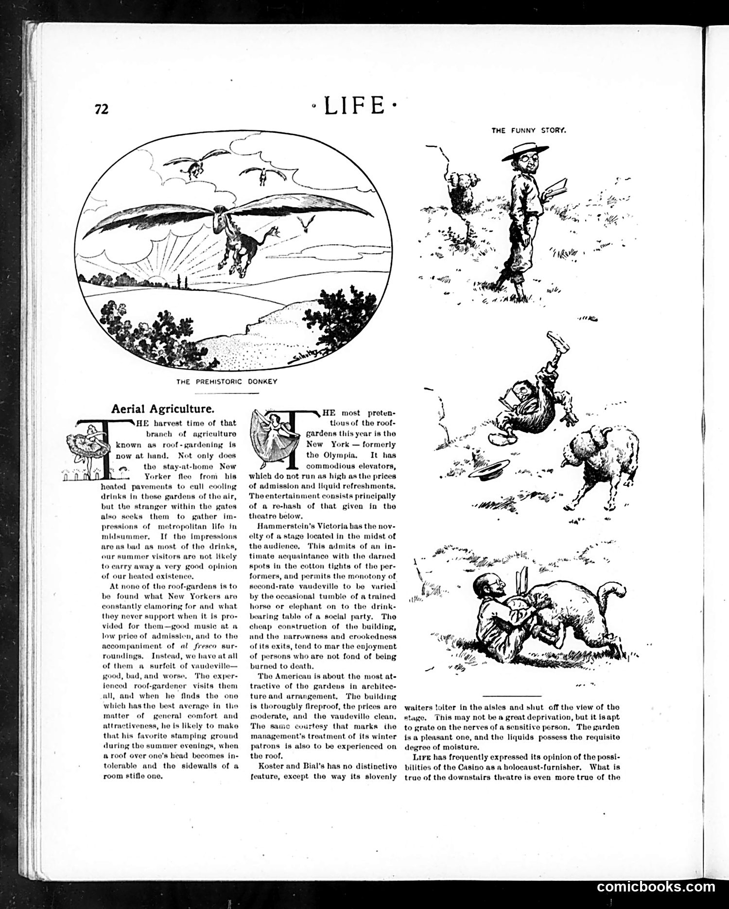 Life — July 27, 1899 — page 12 of 20