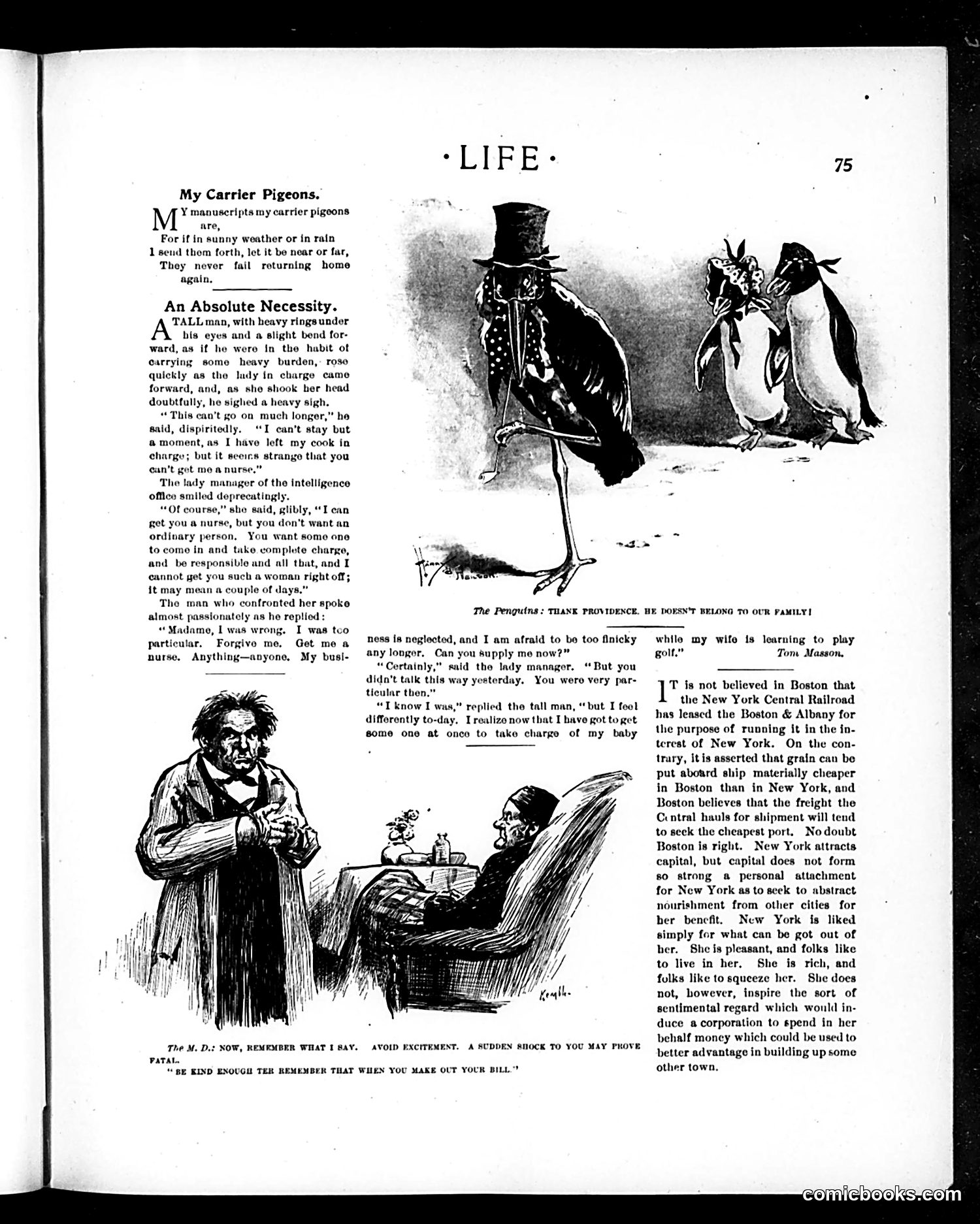 Life — July 27, 1899 — page 15 of 20