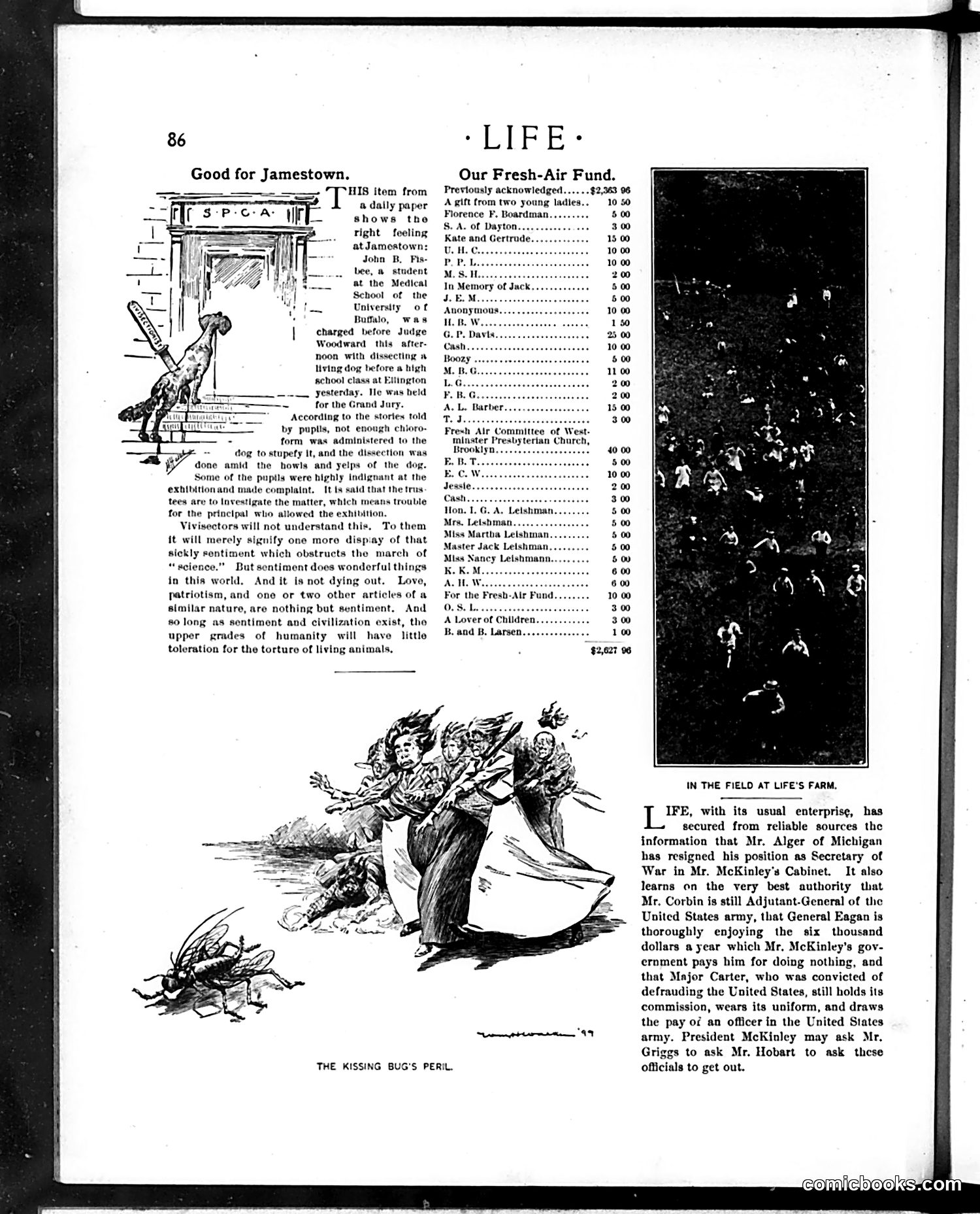 Life — August 3, 1899 — page 6 of 20