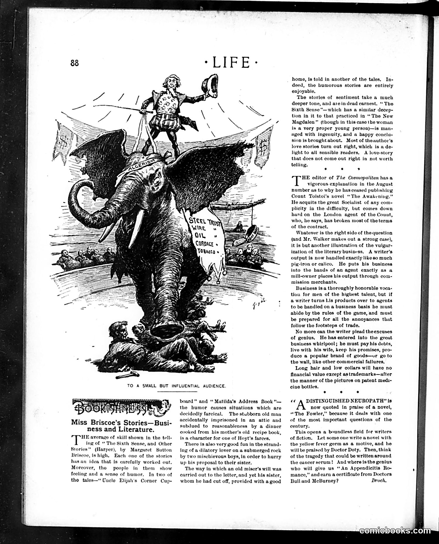 Life — August 3, 1899 — page 8 of 20