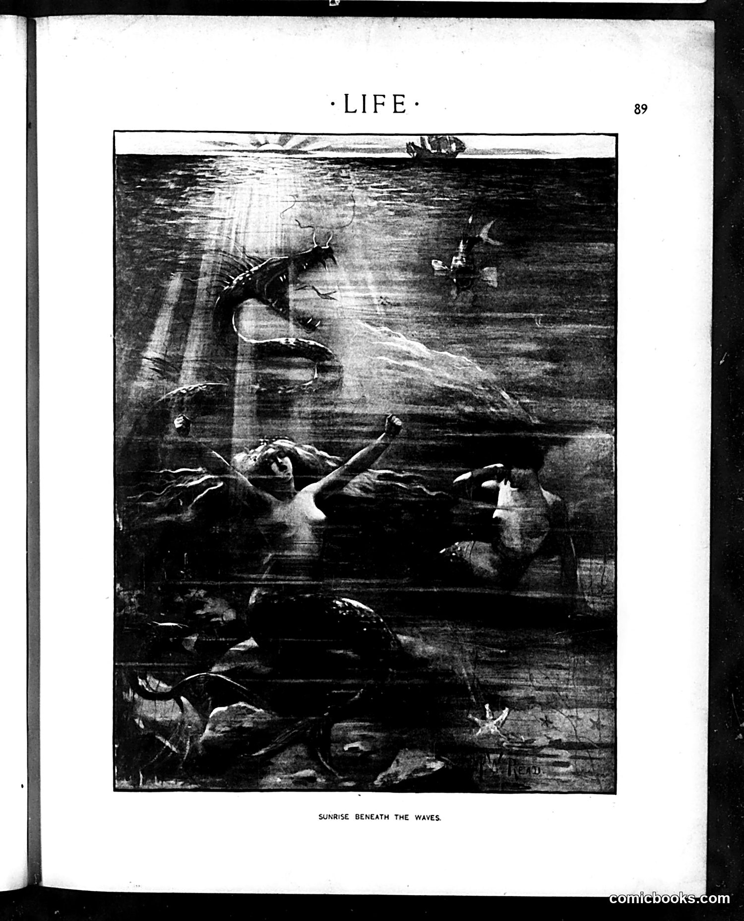 Life — August 3, 1899 — page 9 of 20
