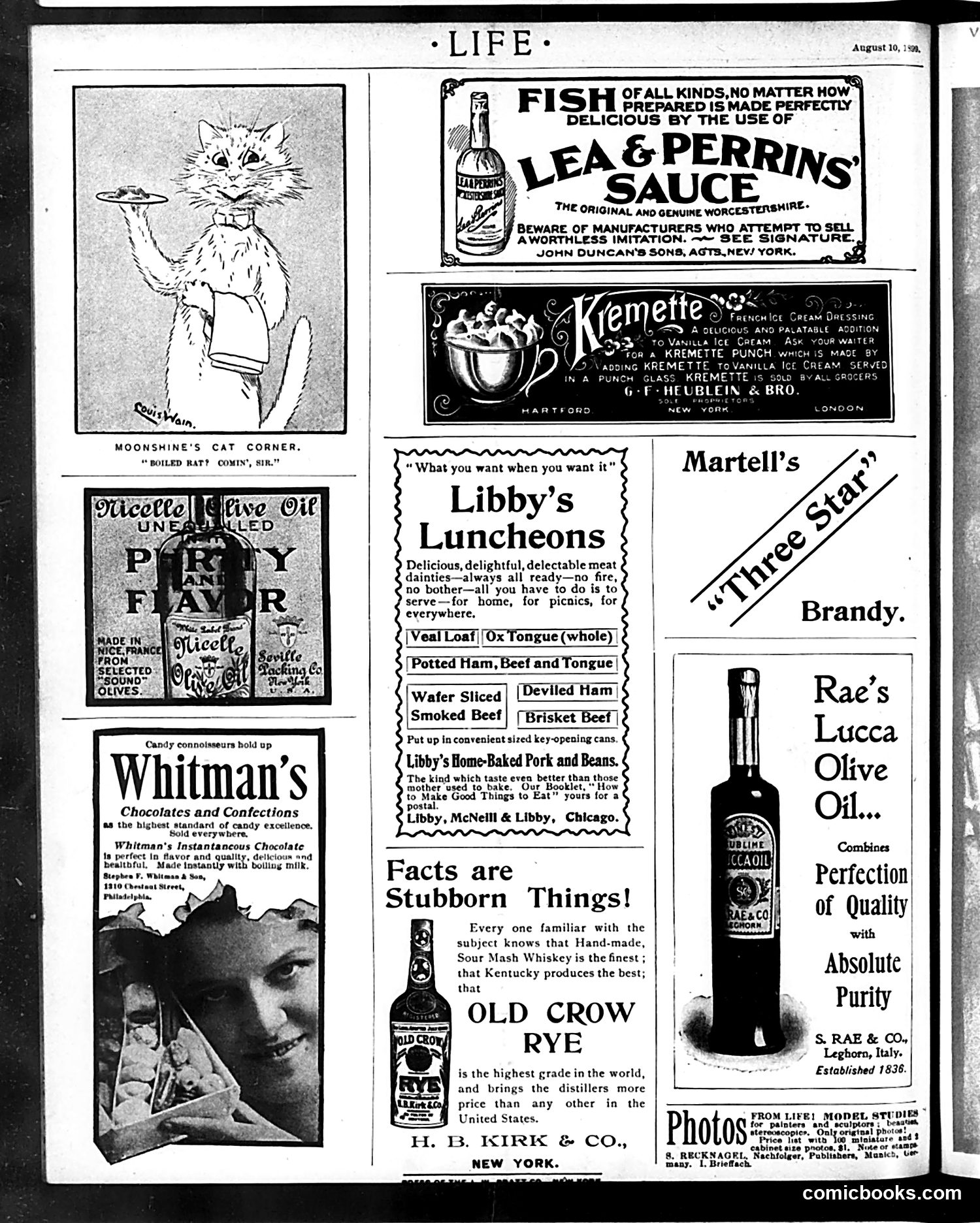 Life — August 10, 1899 — page 20 of 20