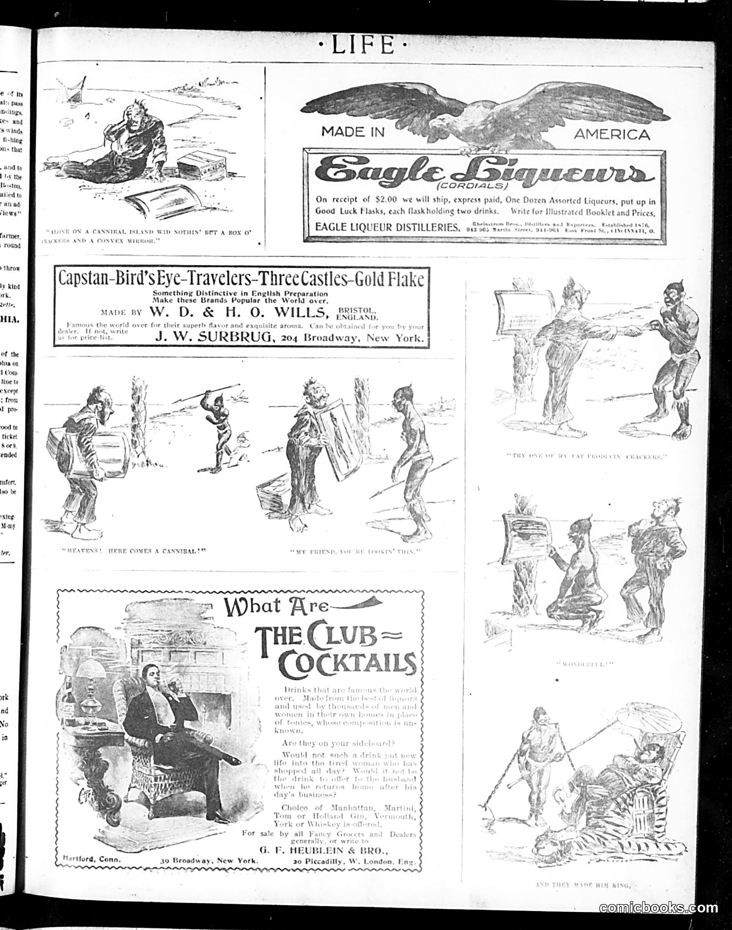 Life — August 17, 1899 — page 19 of 20