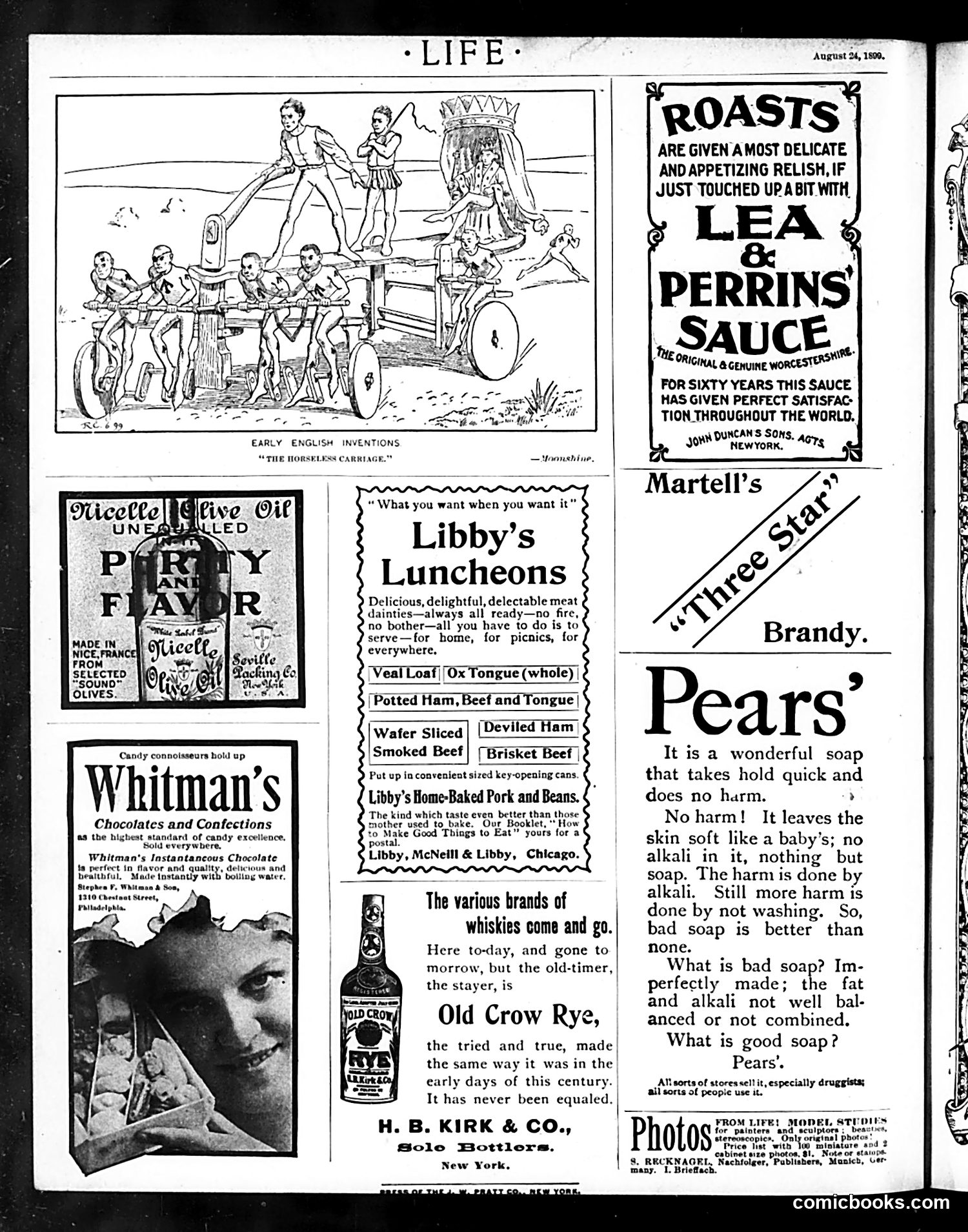 Life — August 24, 1899 — page 20 of 13