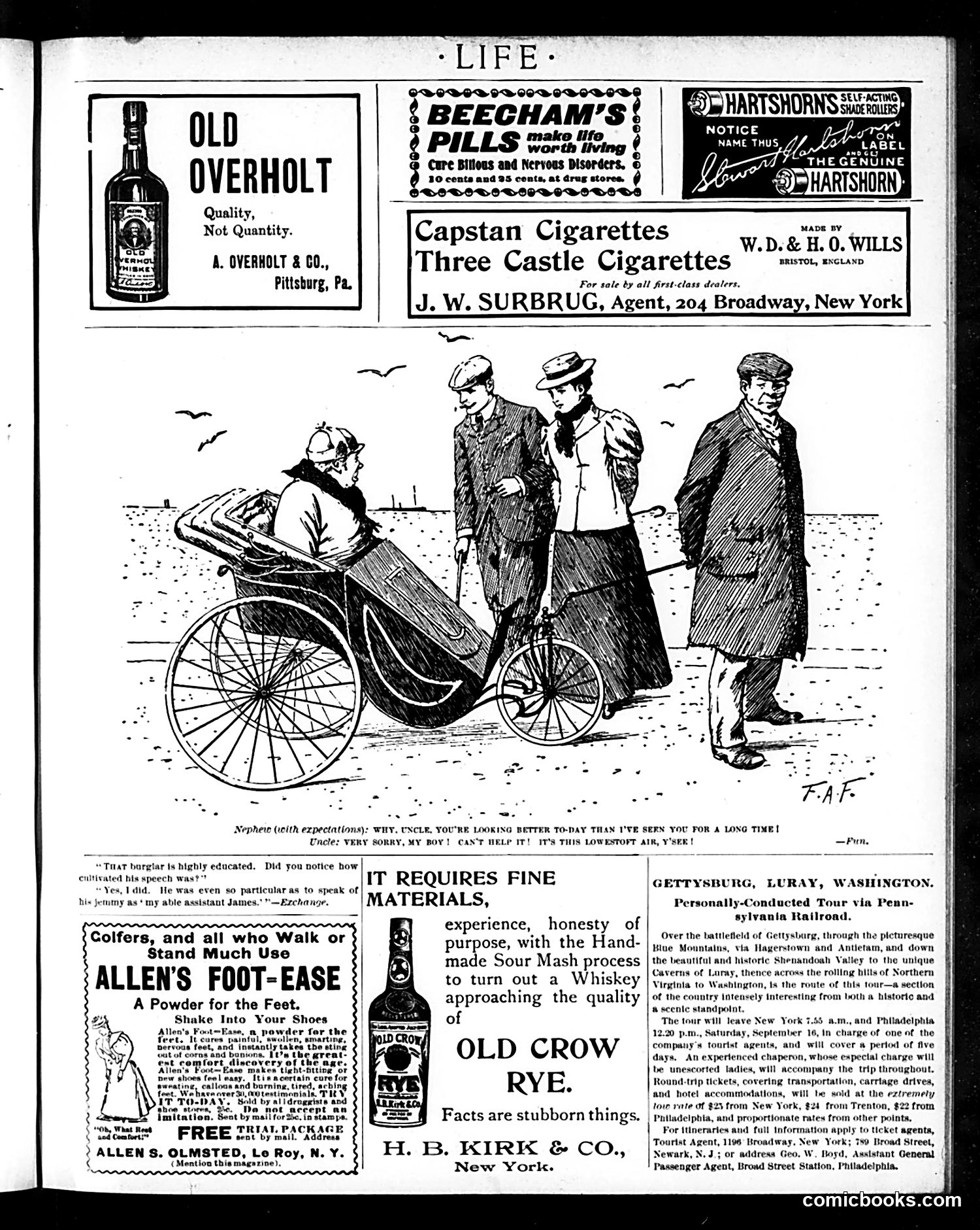 Life — September 7, 1899 — page 19 of 20