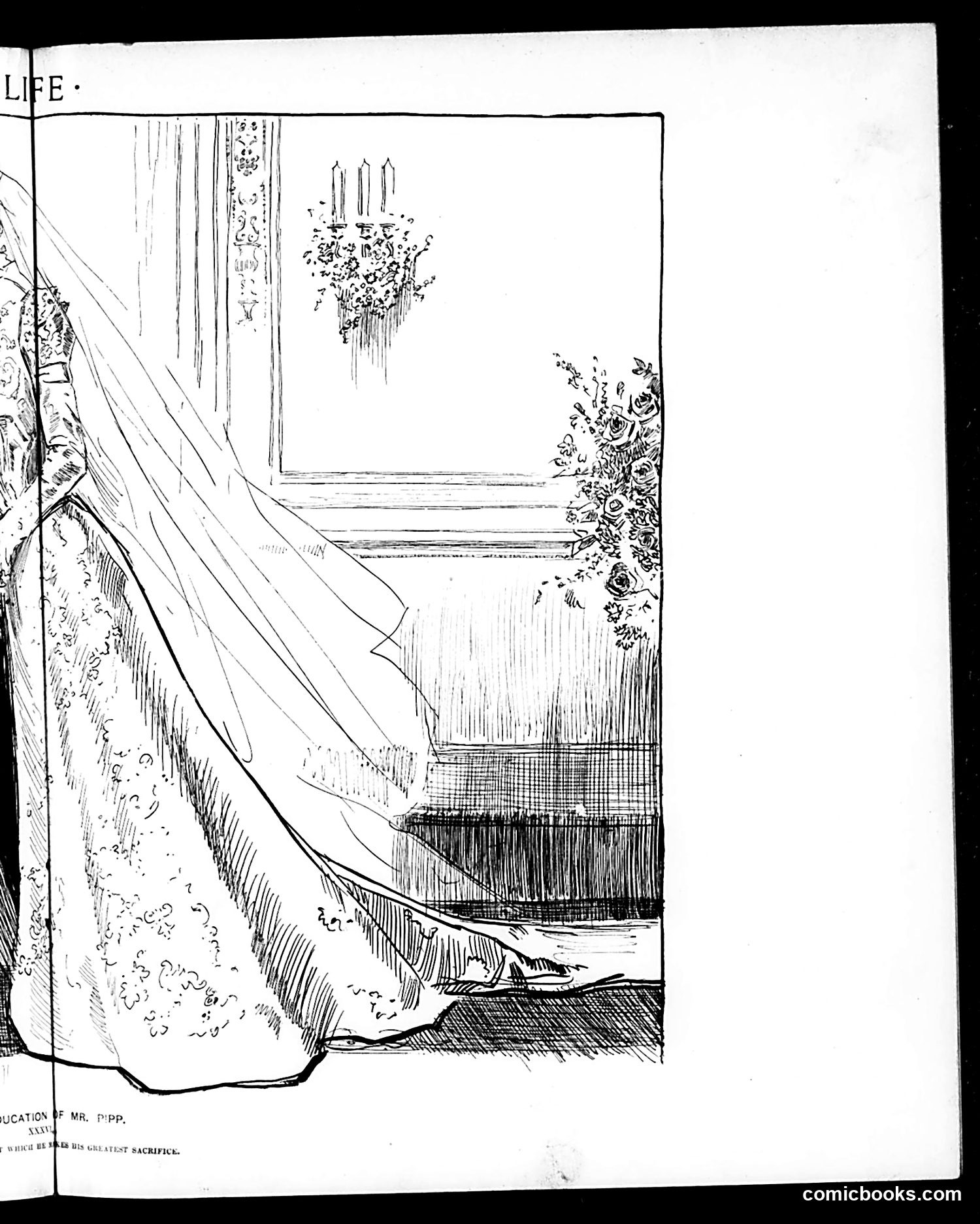 Life — September 14, 1899 — page 11 of 20