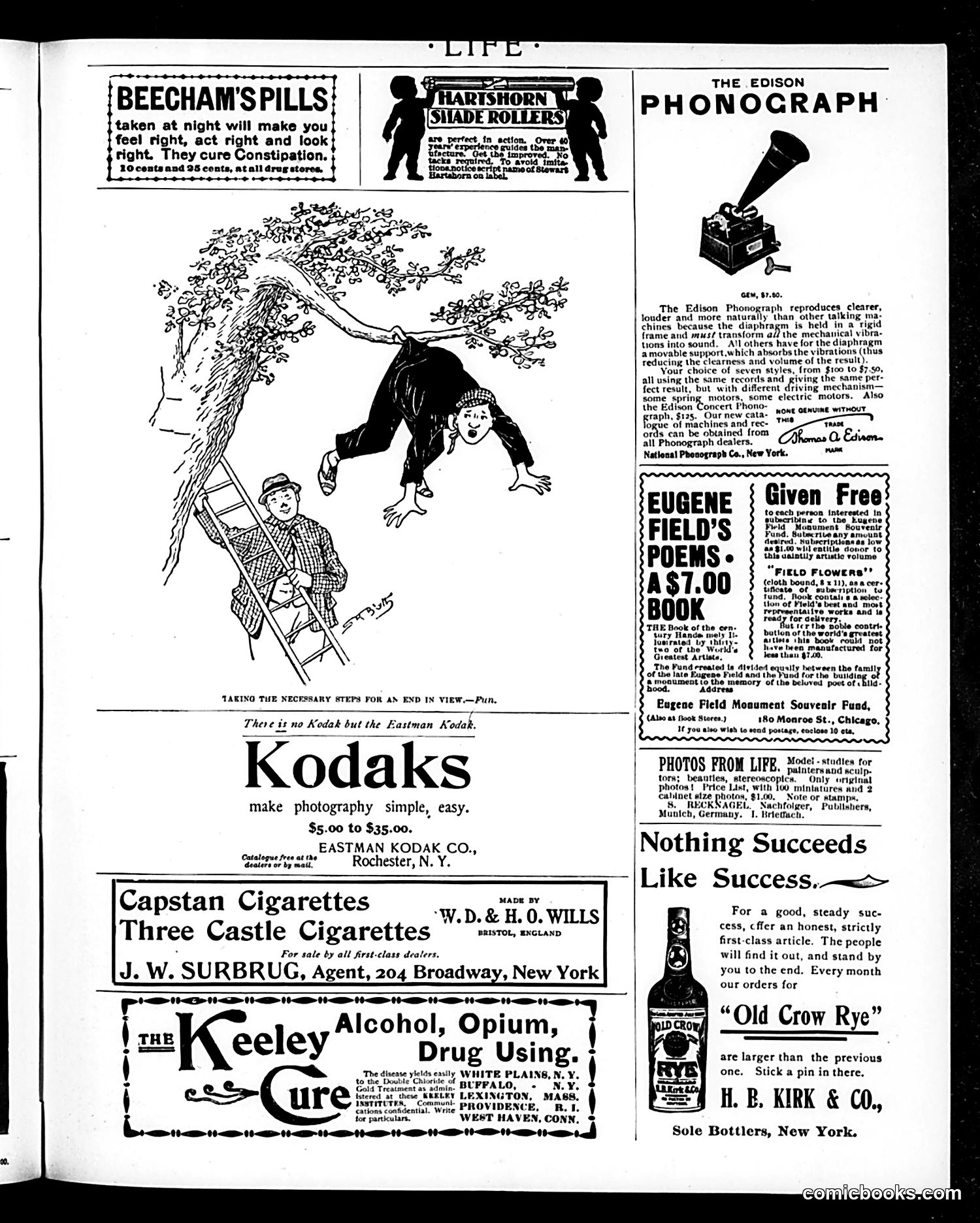 Life — October 19, 1899 — page 19 of 20