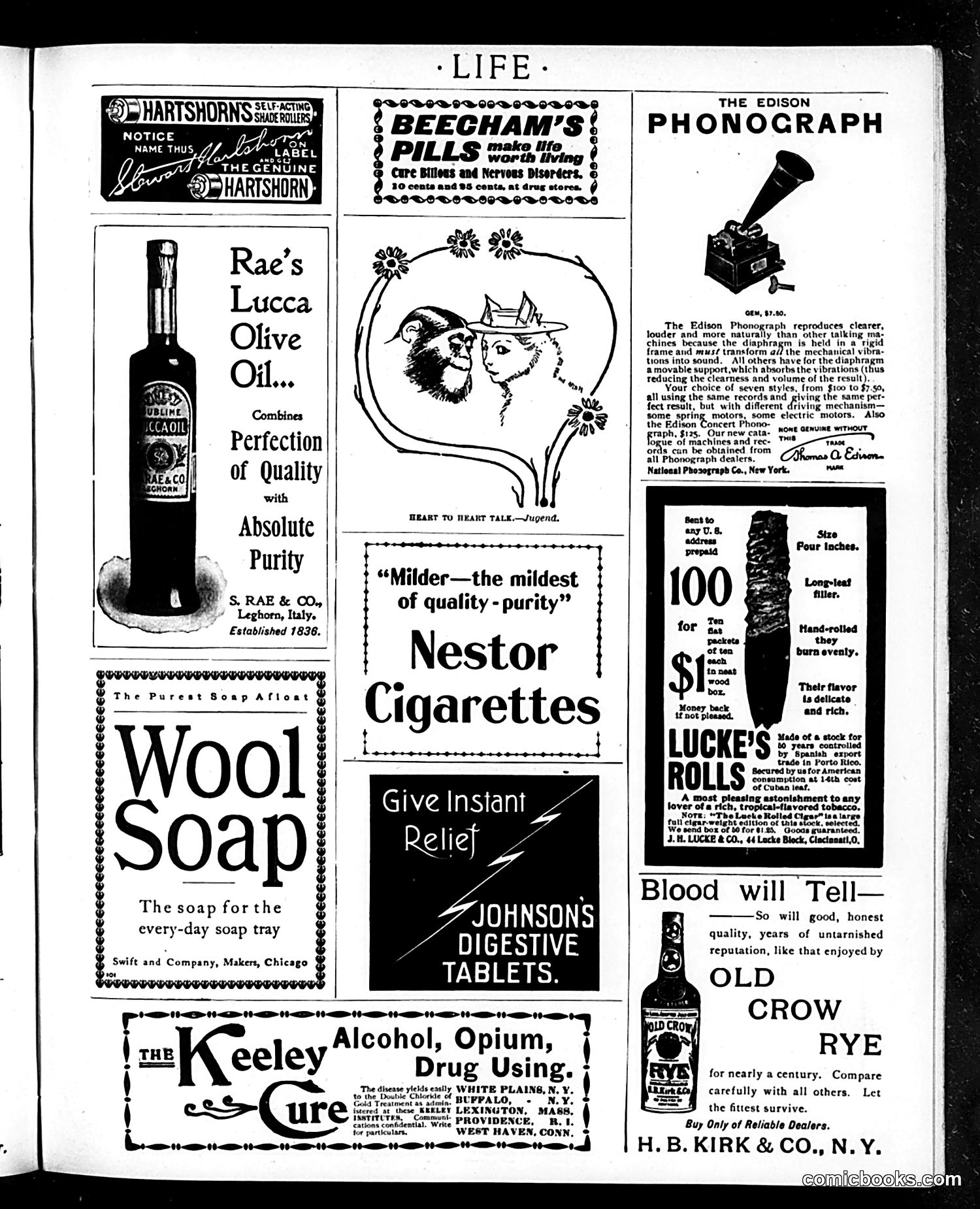 Life — November 2, 1899 — page 19 of 20