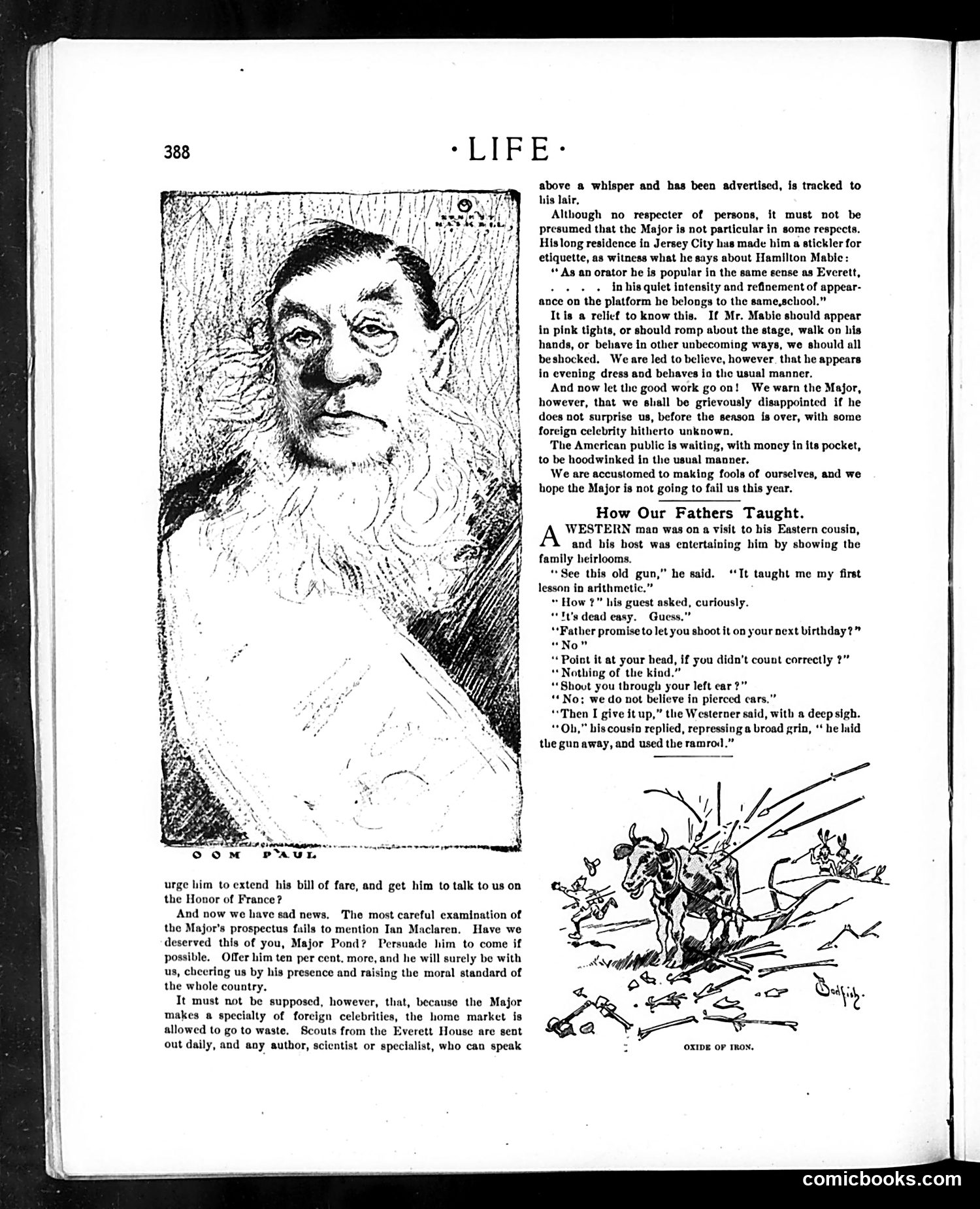 Life — November 16, 1899 — page 8 of 20