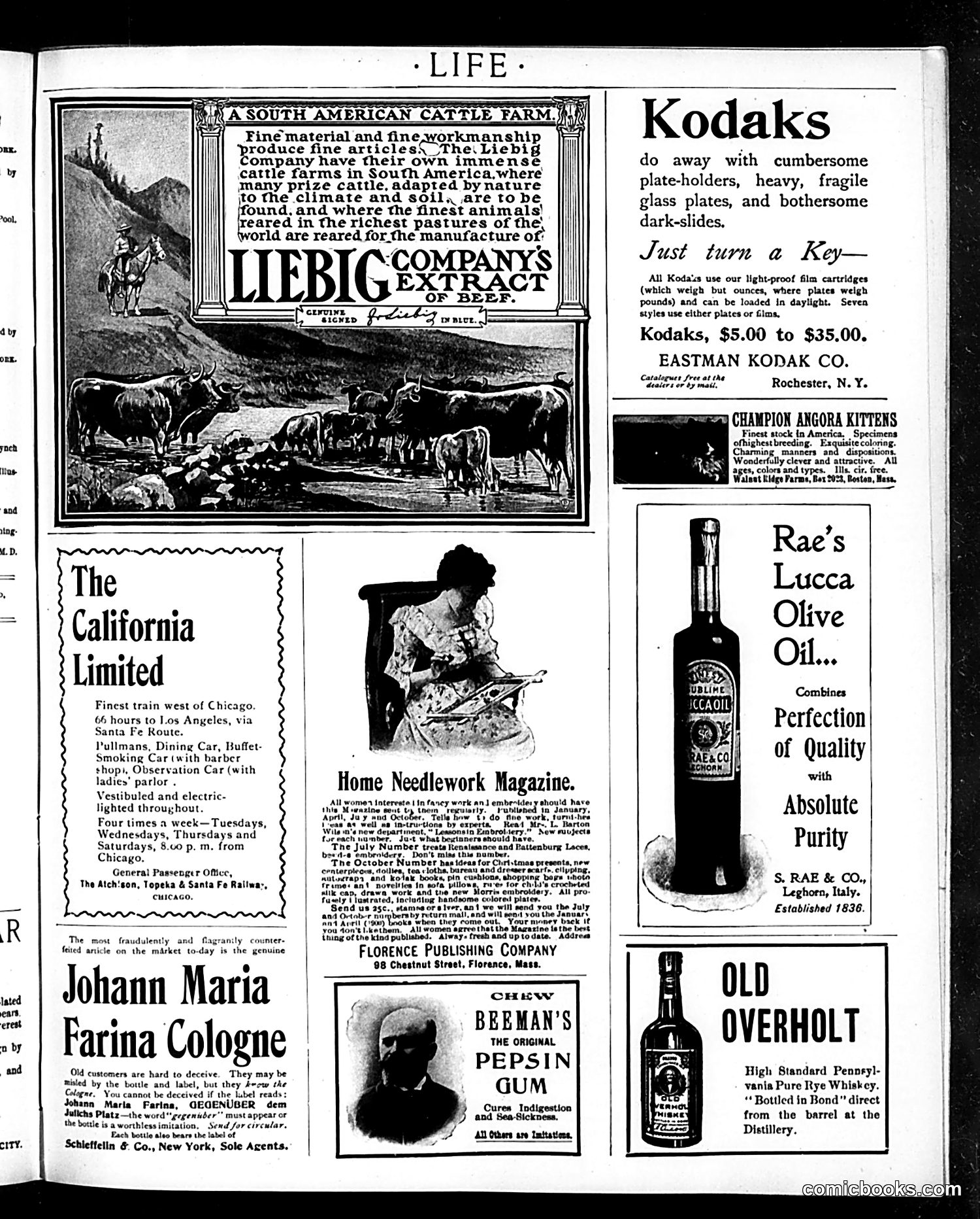 Life — November 23, 1899 — page 17 of 20