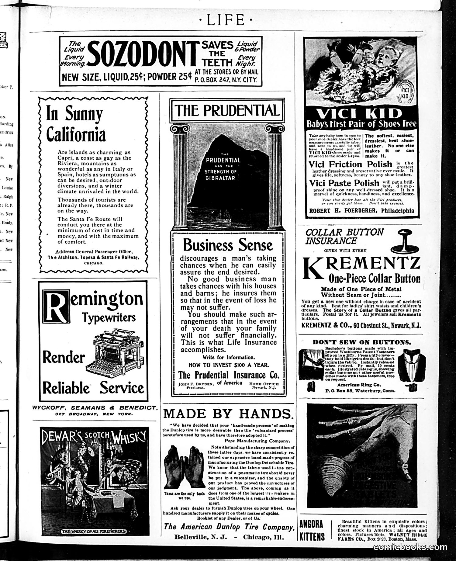 Life — December 28, 1899 — page 17 of 21