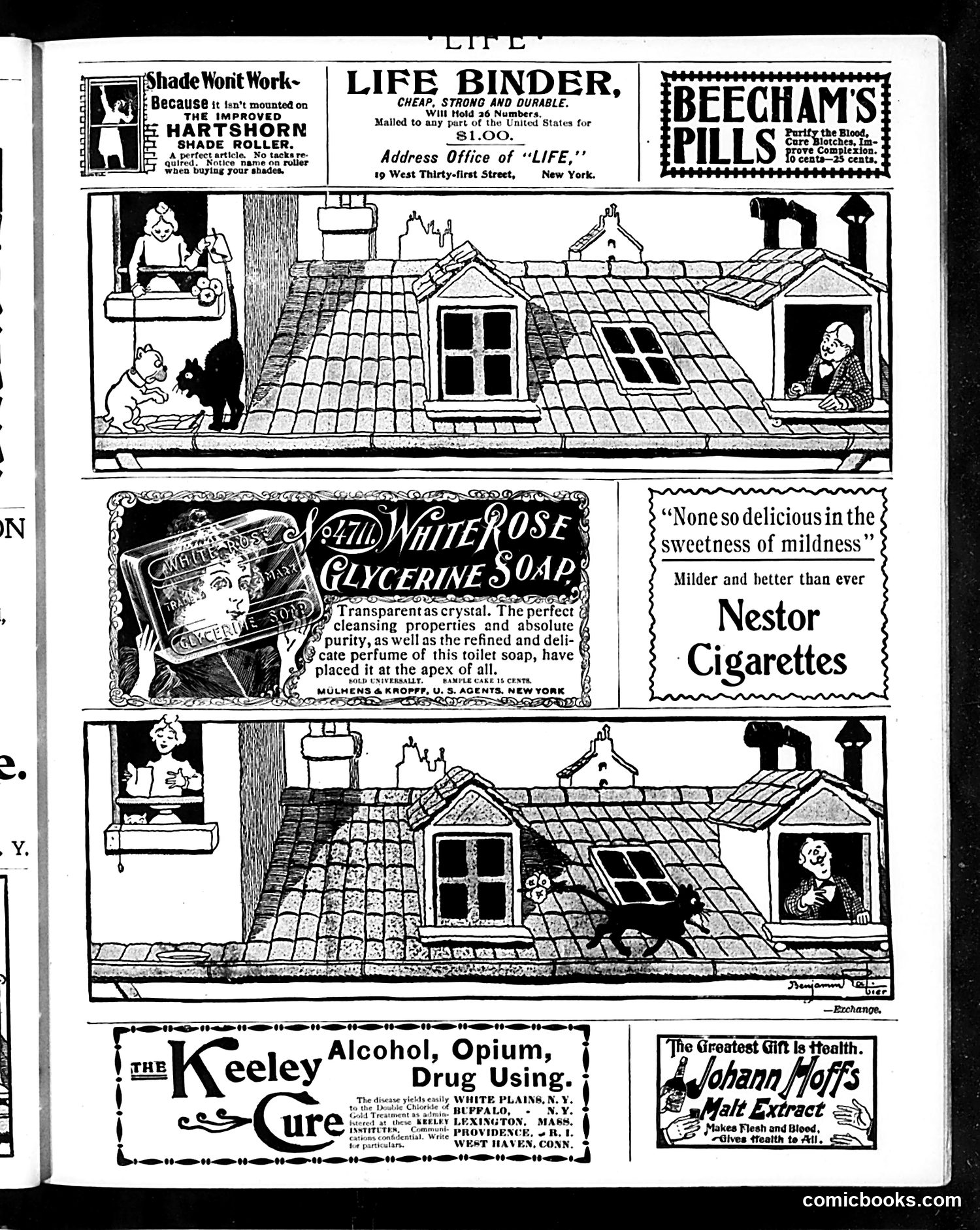 Life — January 11, 1900 — page 19 of 20
