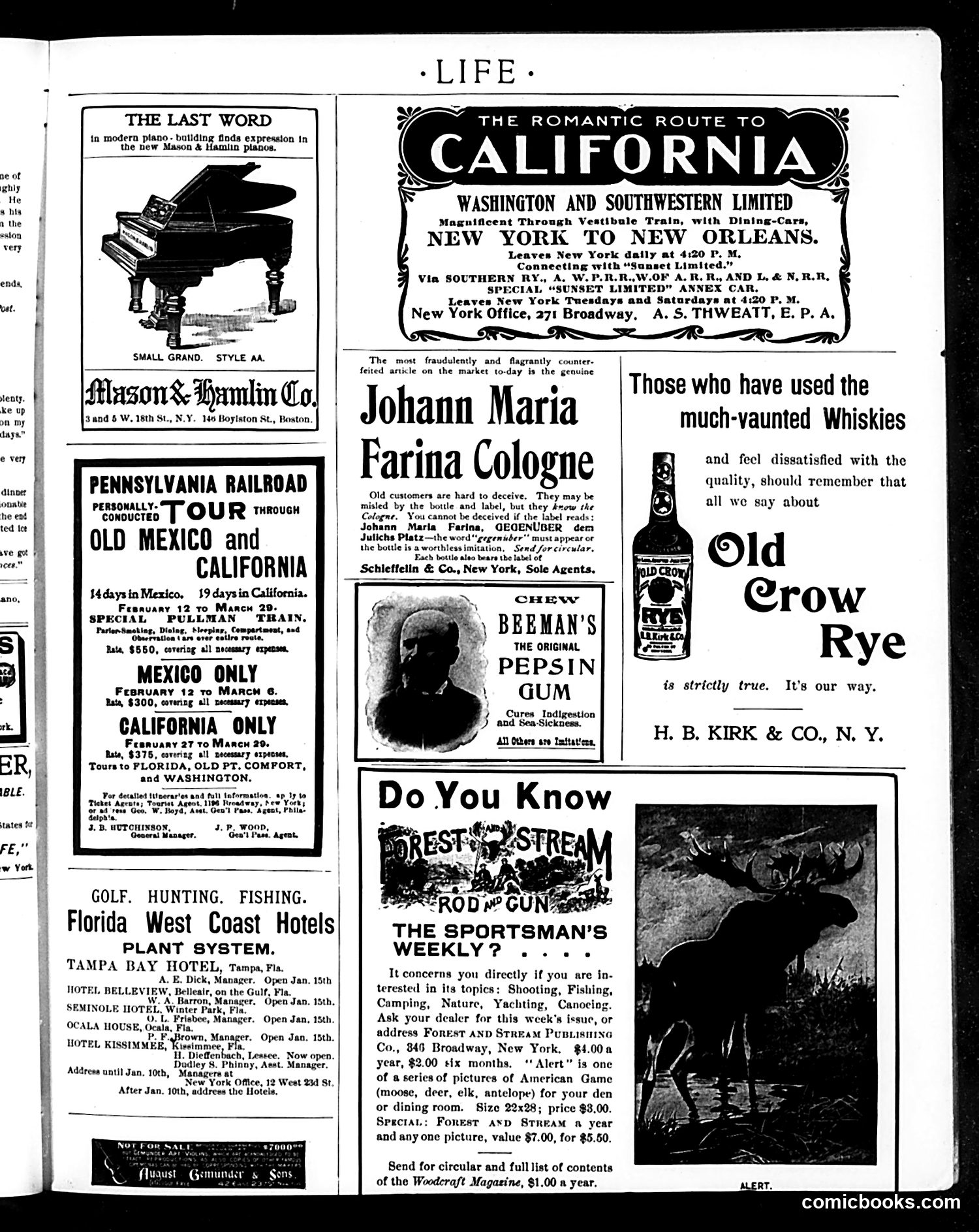 Life — January 18, 1900 — page 17 of 20