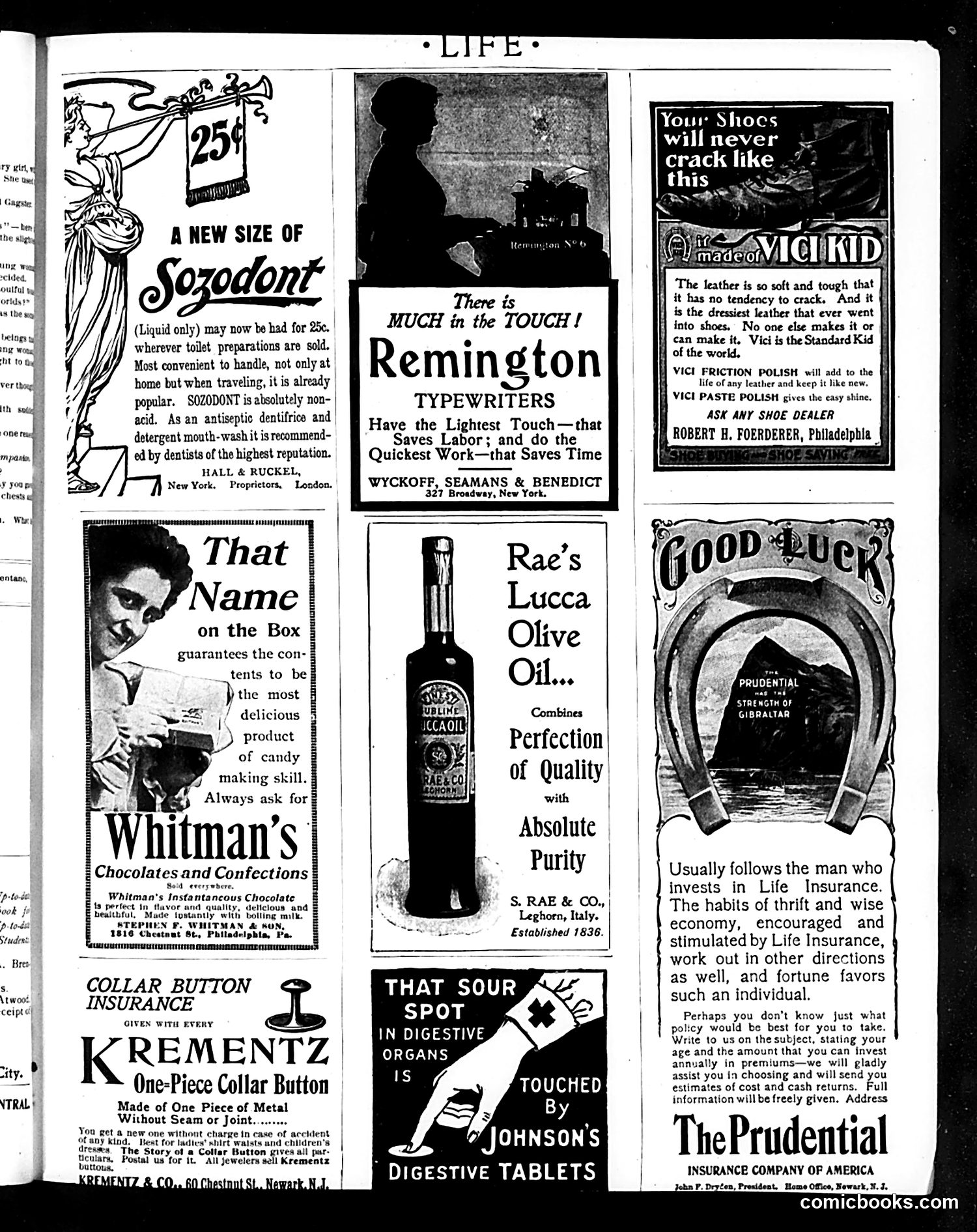 Life — January 25, 1900 — page 17 of 20