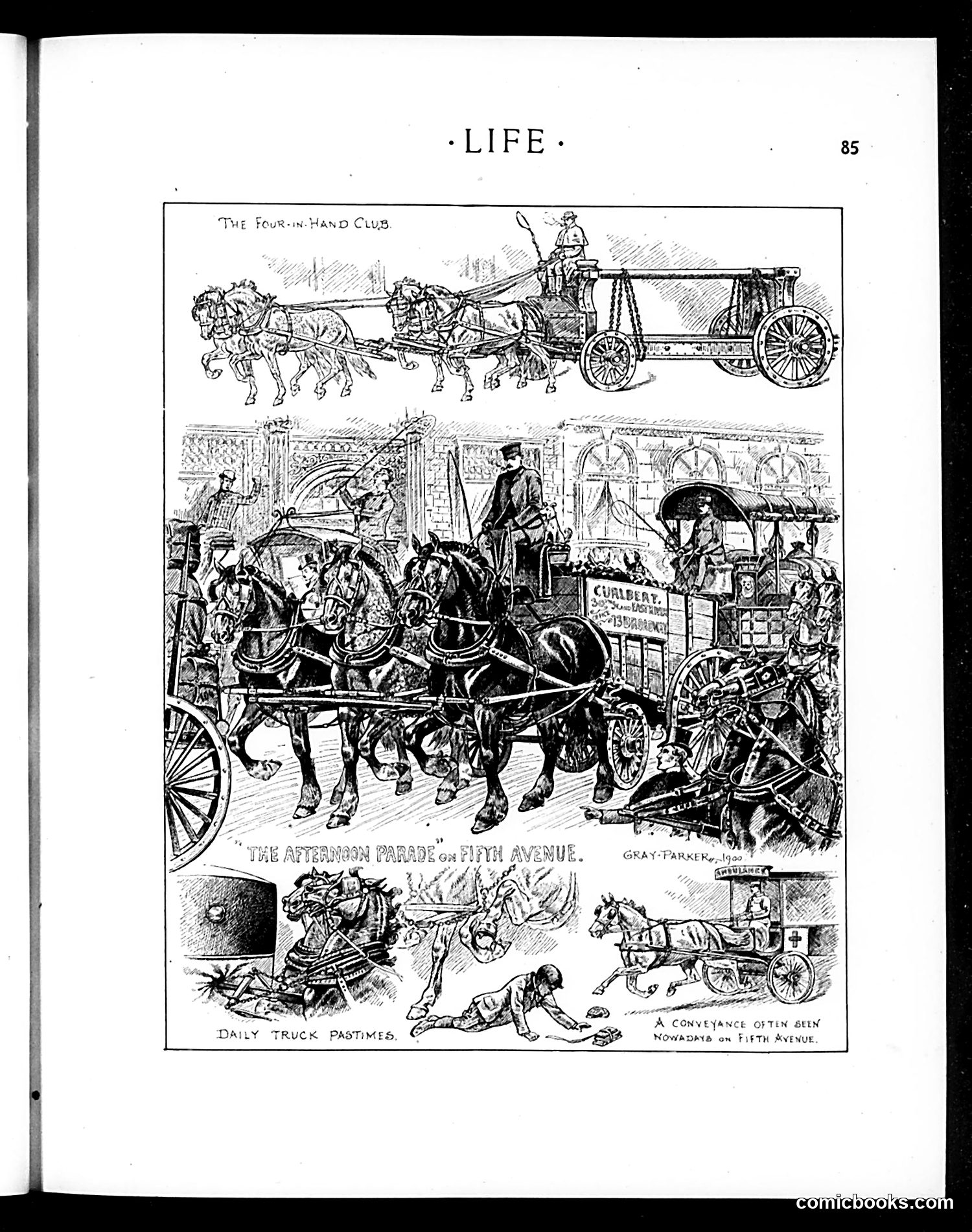 Life — February 1, 1900 — page 5 of 20