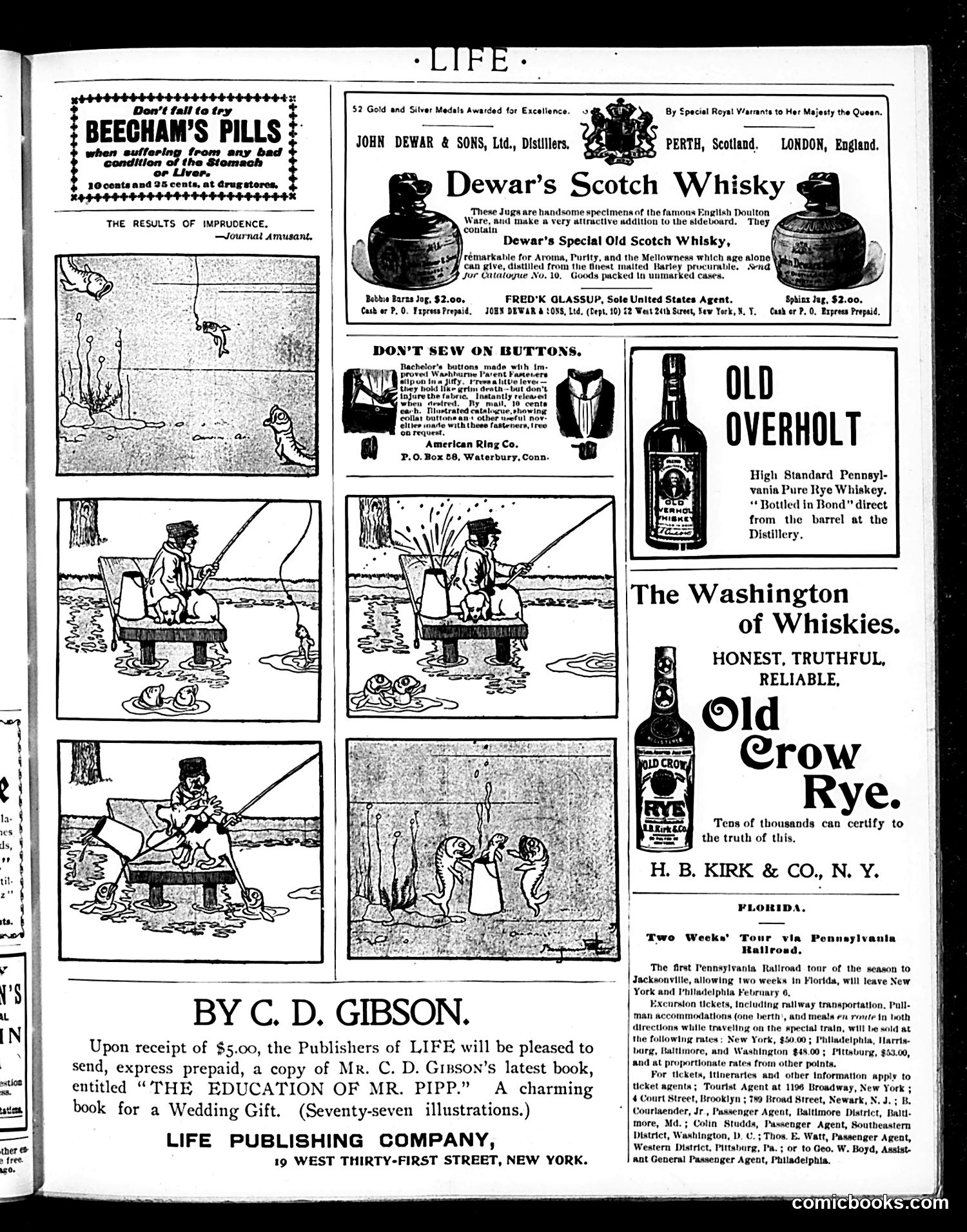 Life — February 1, 1900 — page 19 of 20