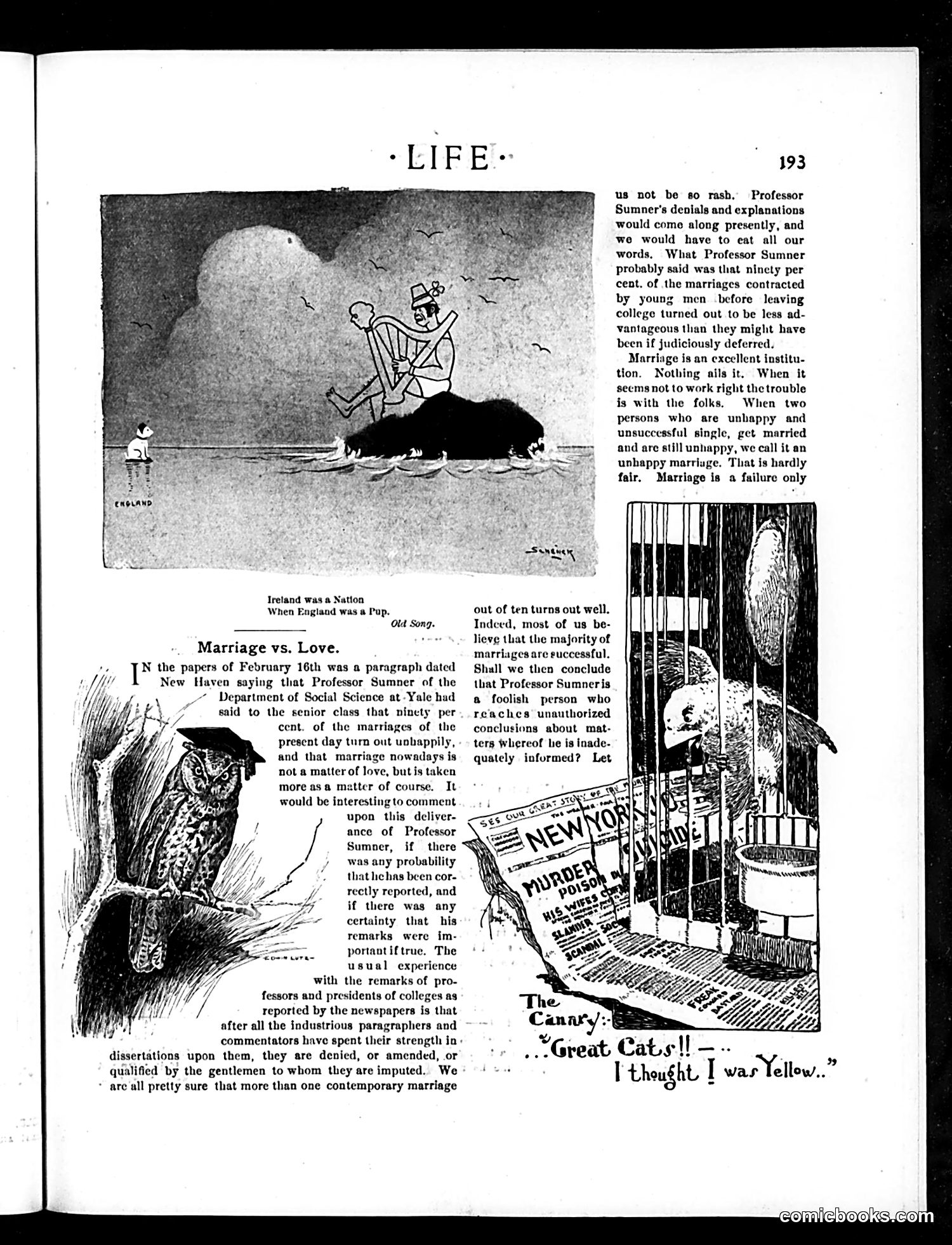 Life — March 8, 1900 — page 13 of 22