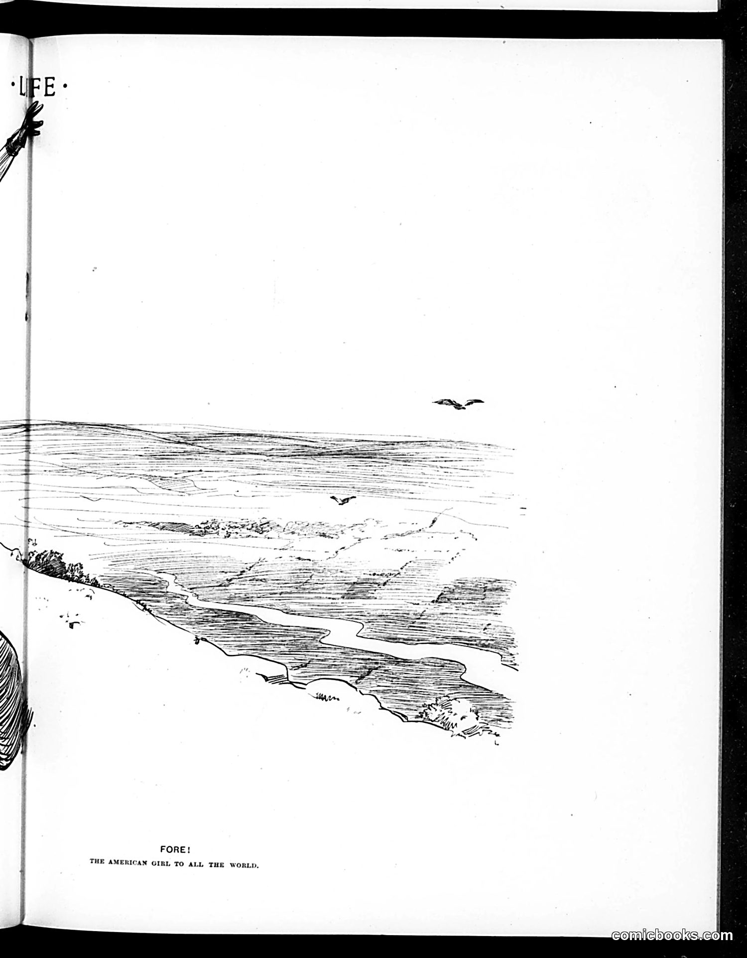 Life — March 15, 1900 — page 11 of 20