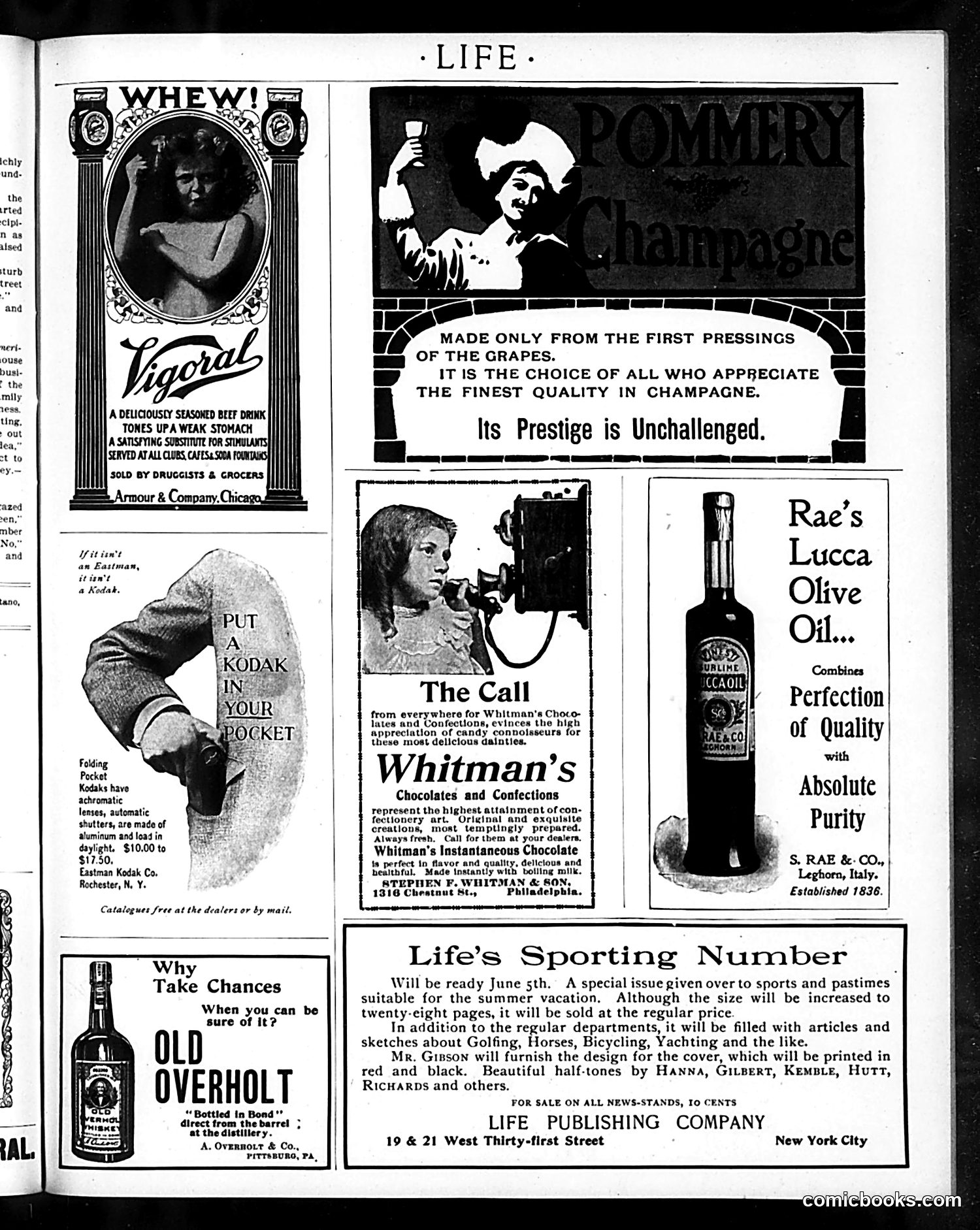 Life — May 31, 1900 — page 17 of 20