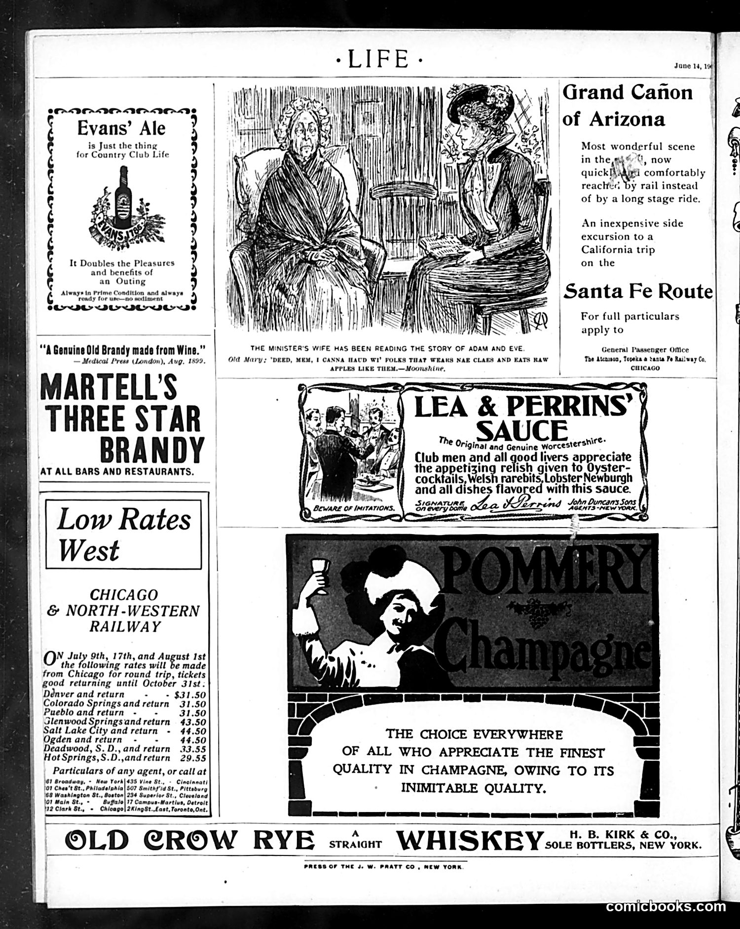 Life — June 14, 1900 — page 20 of 20