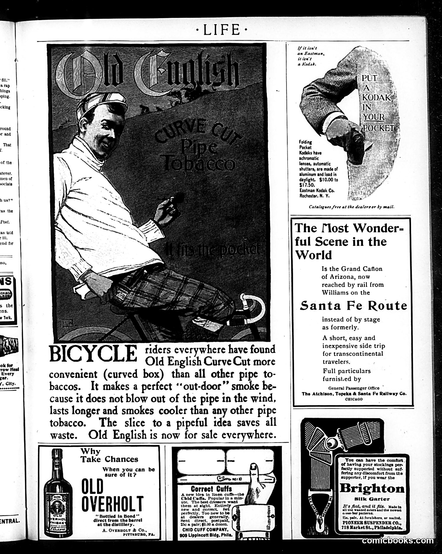 Life — June 21, 1900 — page 17 of 20