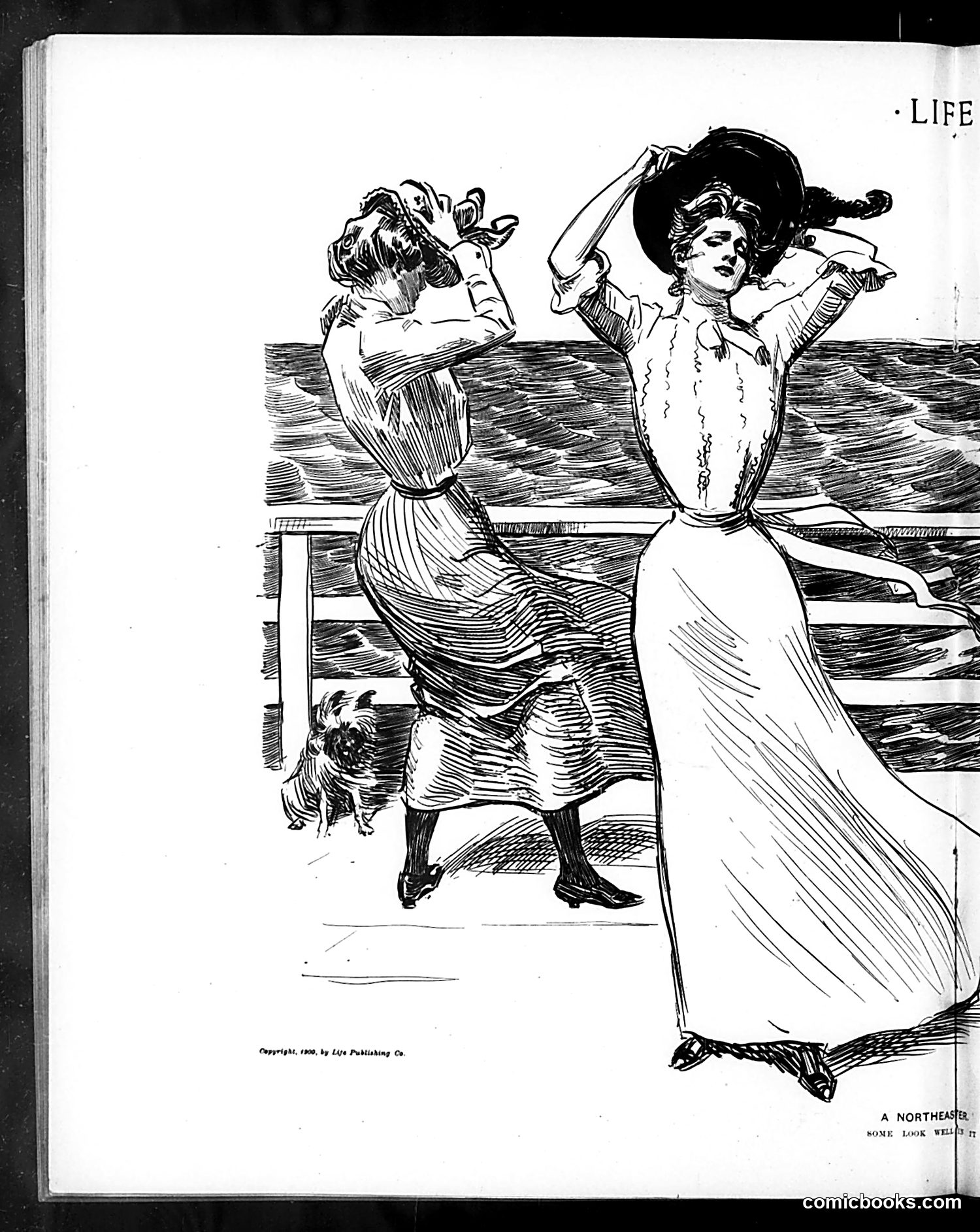 Life — June 28, 1900 — page 10 of 21