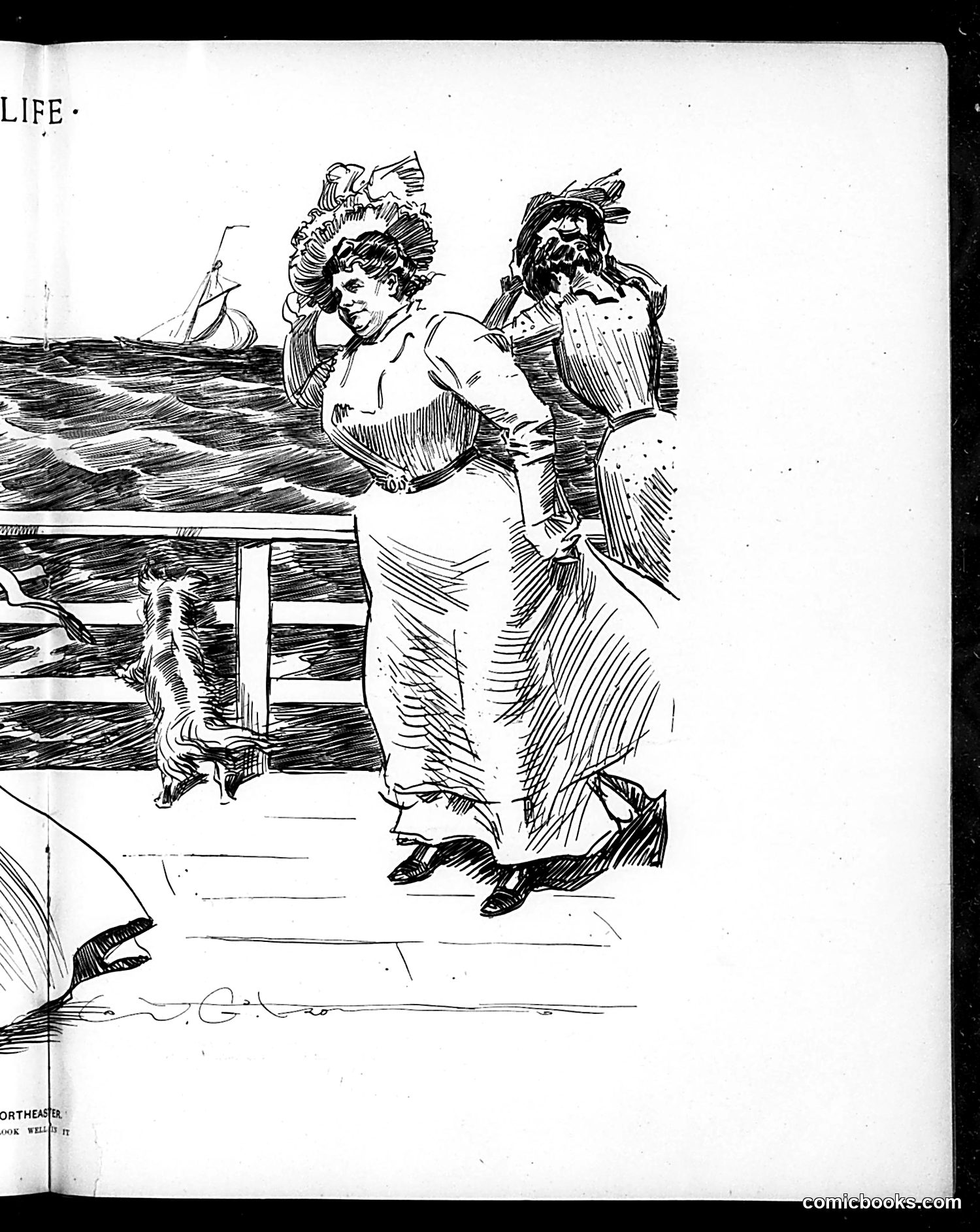 Life — June 28, 1900 — page 11 of 21