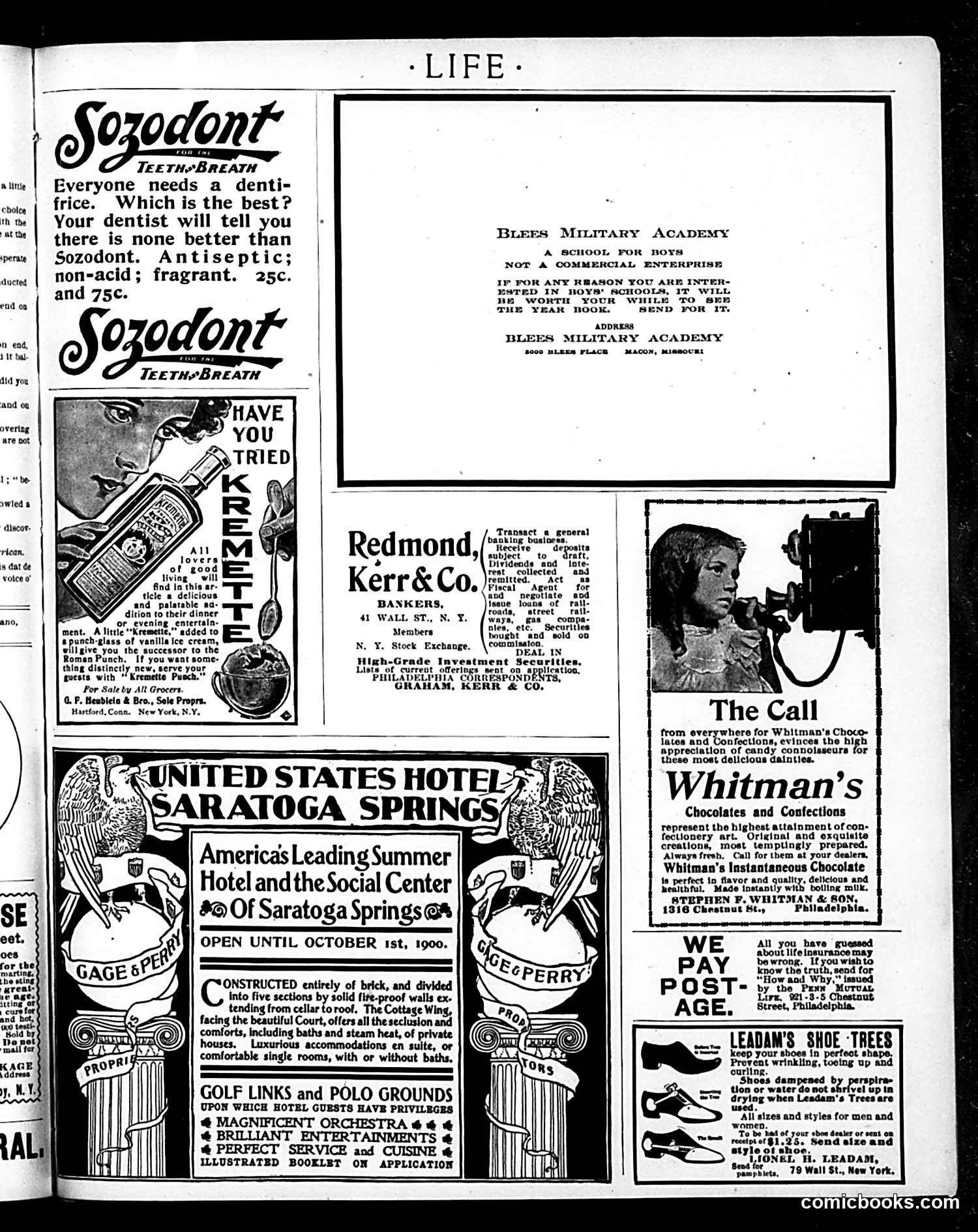 Life — June 28, 1900 — page 17 of 21
