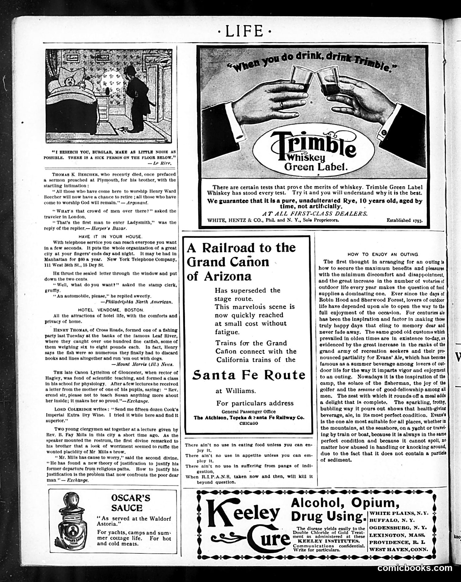 Life — June 28, 1900 — page 18 of 21