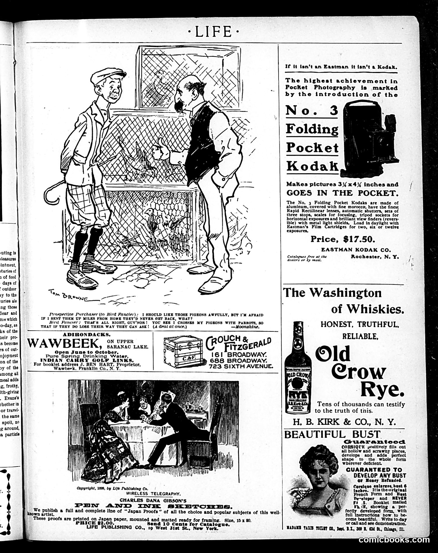 Life — June 28, 1900 — page 19 of 21