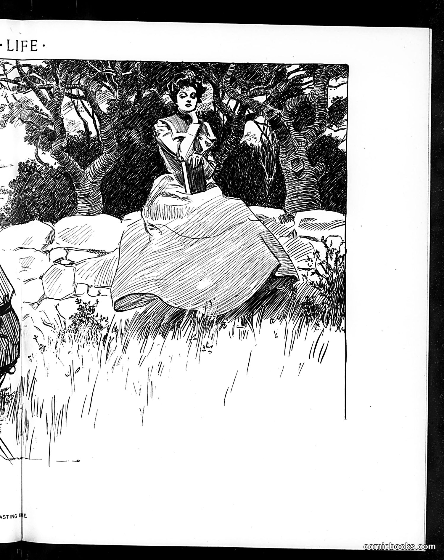 Life — July 19, 1900 — page 11 of 22