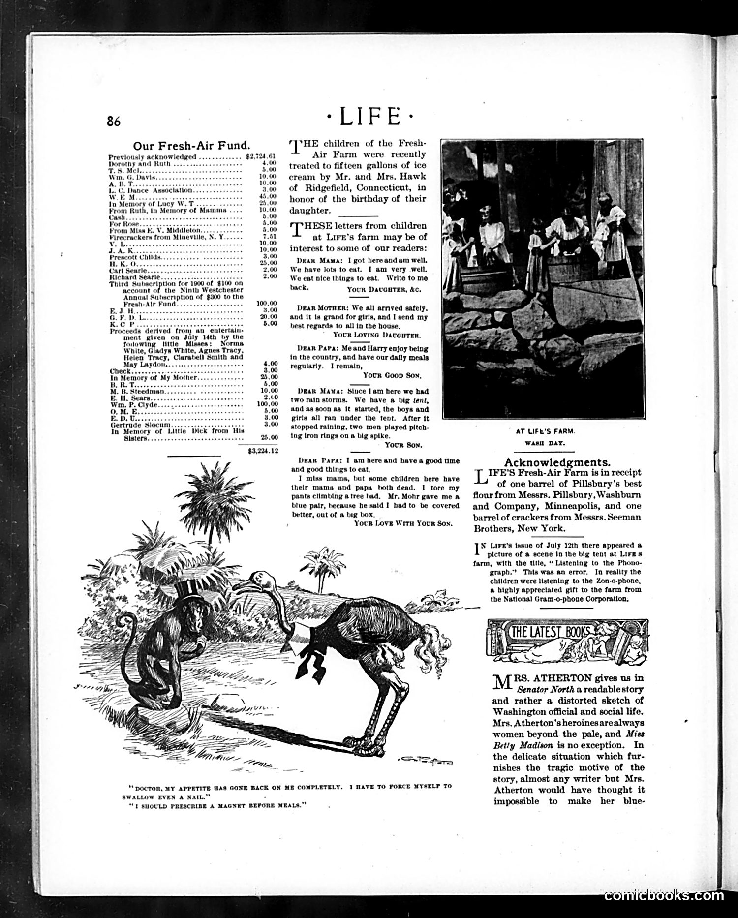 Life — August 2, 1900 — page 6 of 20