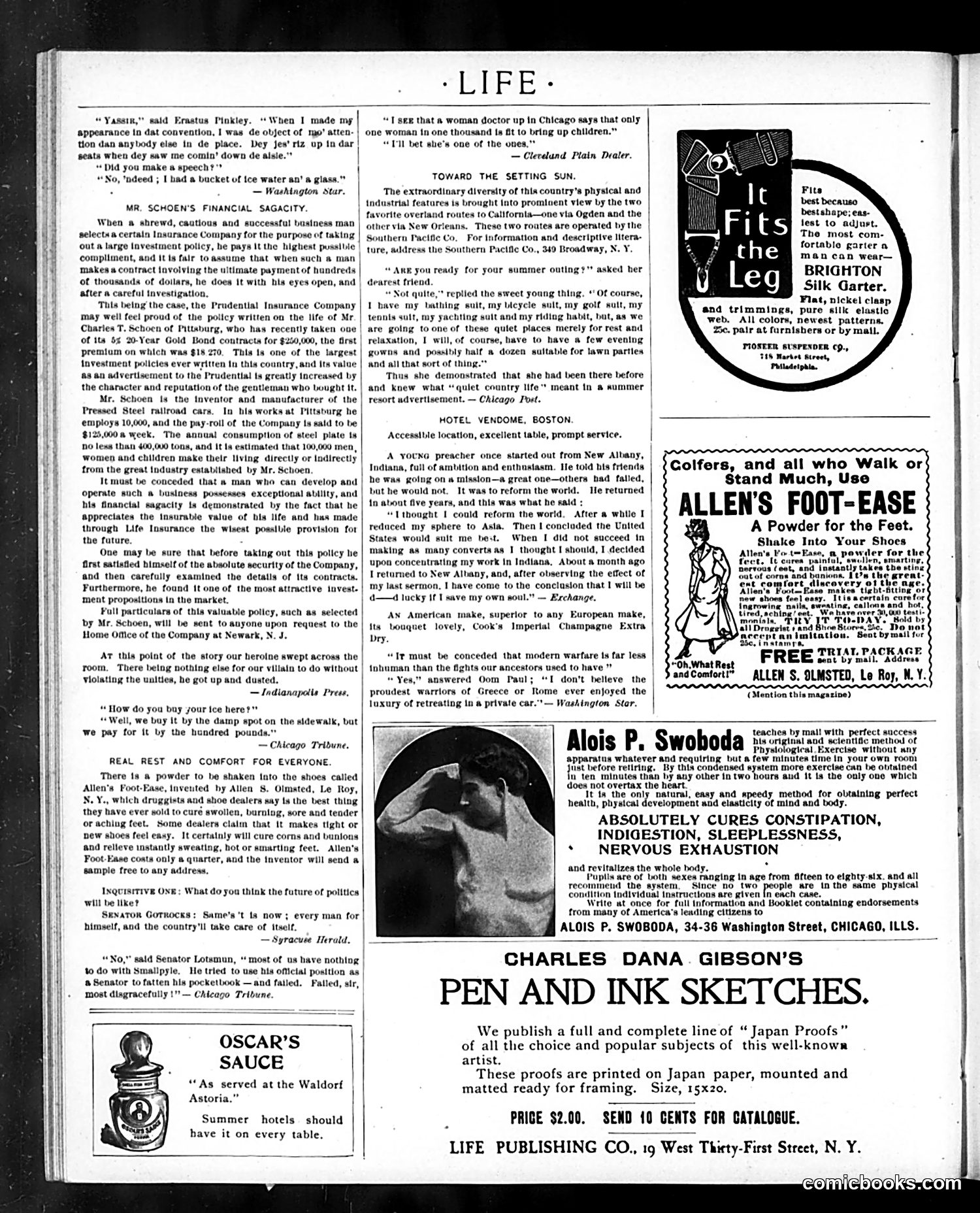 Life — August 16, 1900 — page 18 of 20