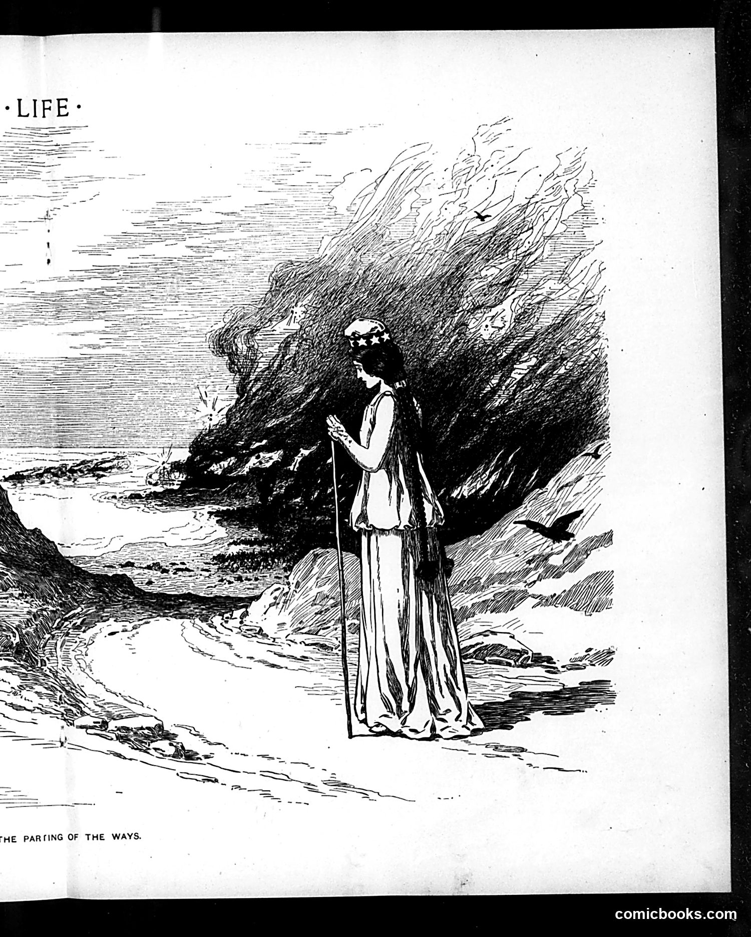 Life — August 23, 1900 — page 11 of 20