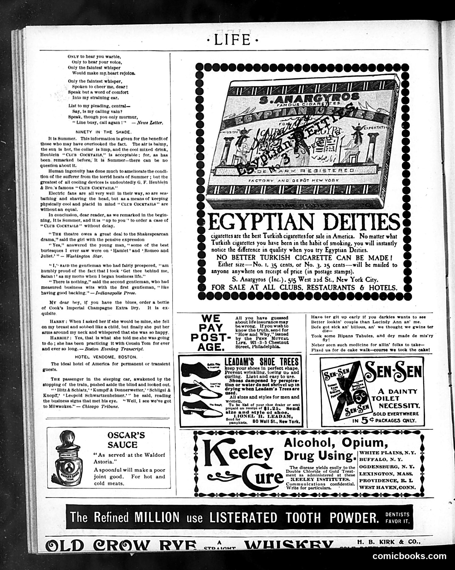 Life — August 23, 1900 — page 18 of 20