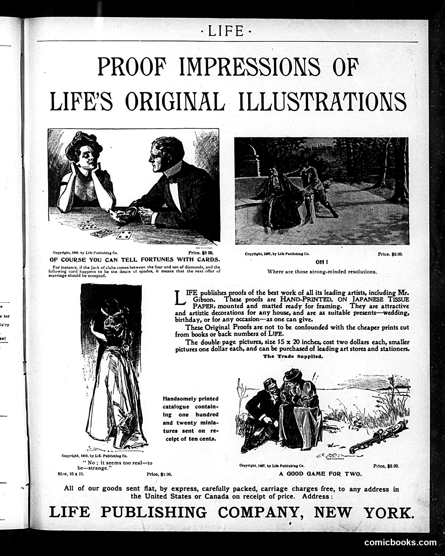 Life — August 23, 1900 — page 19 of 20