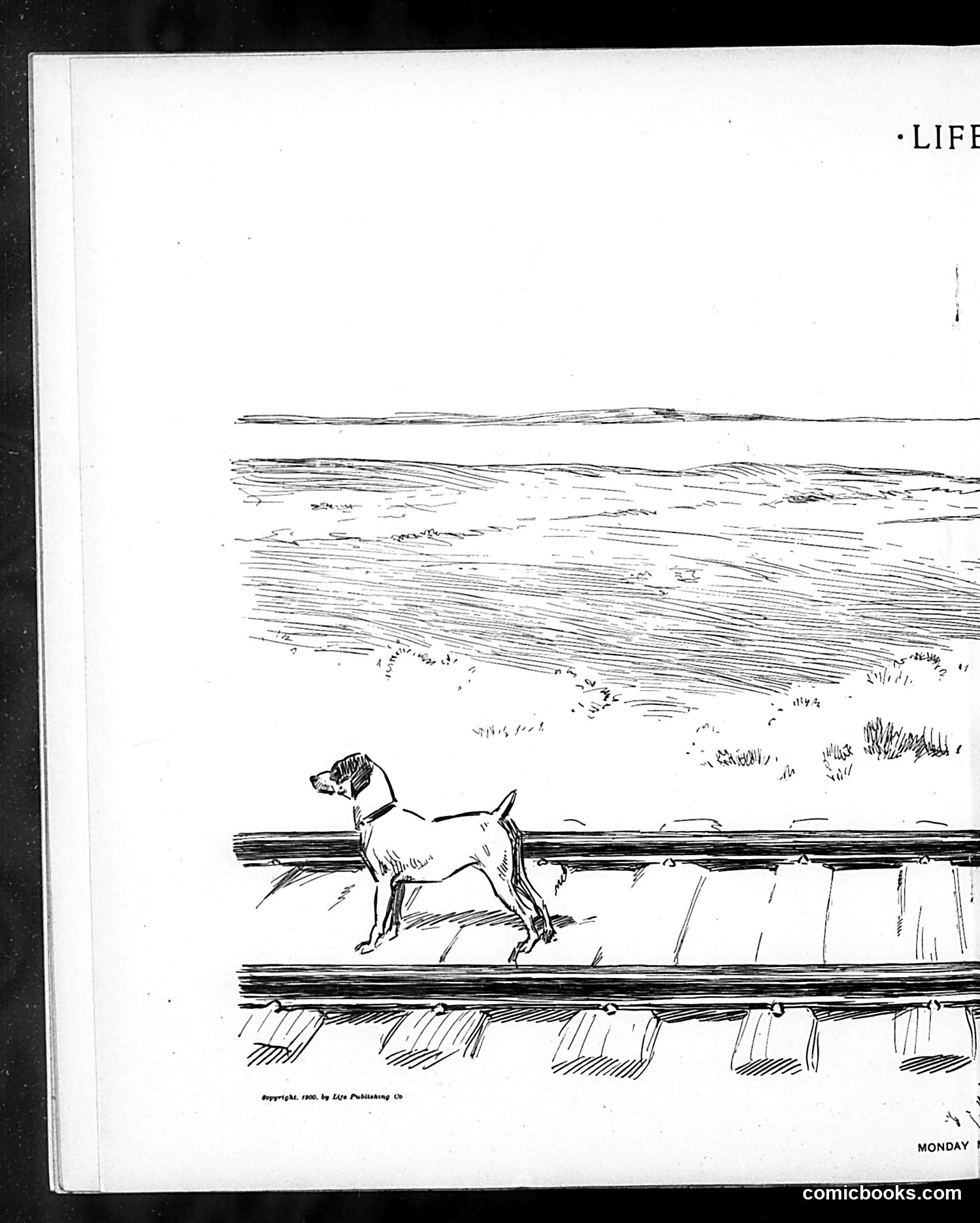 Life — August 30, 1900 — page 10 of 20