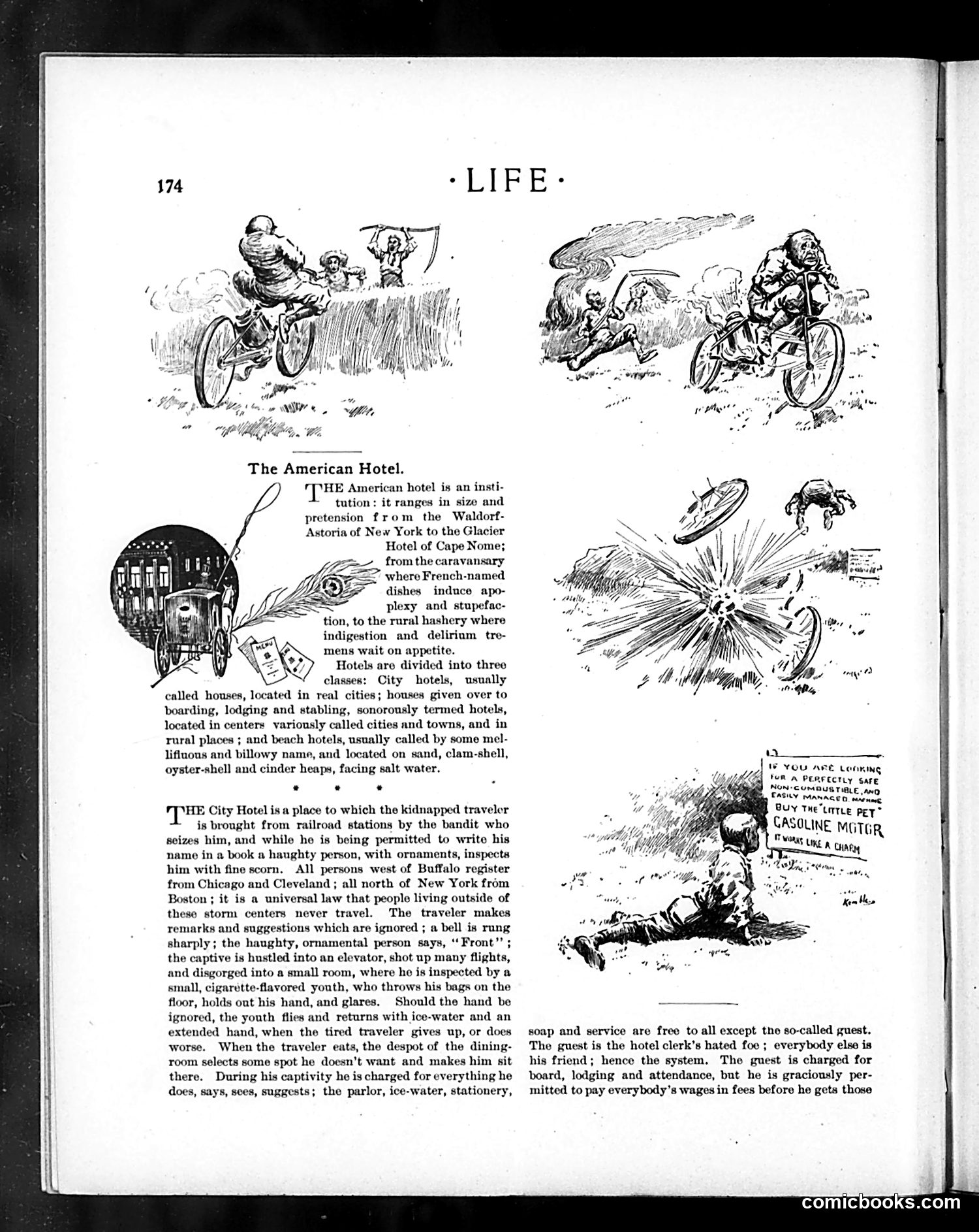 Life — August 30, 1900 — page 14 of 20