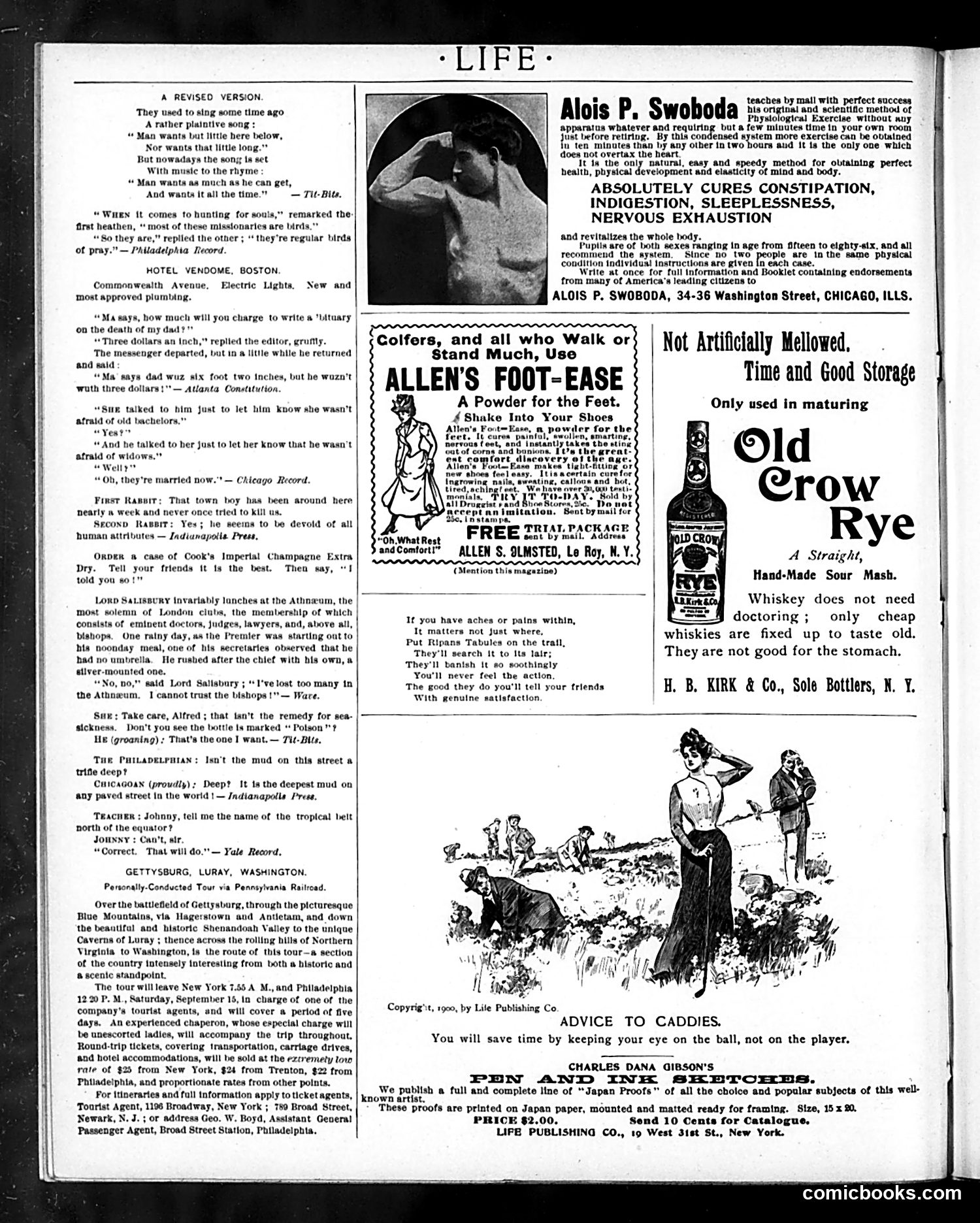 Life — August 30, 1900 — page 18 of 20