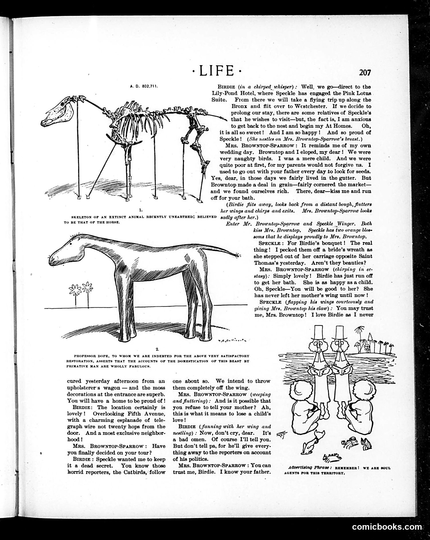 Life — September 13, 1900 — page 7 of 20
