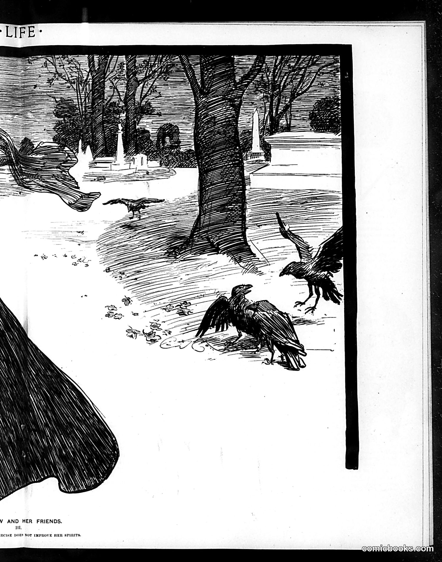 Life — October 18, 1900 — page 11 of 22