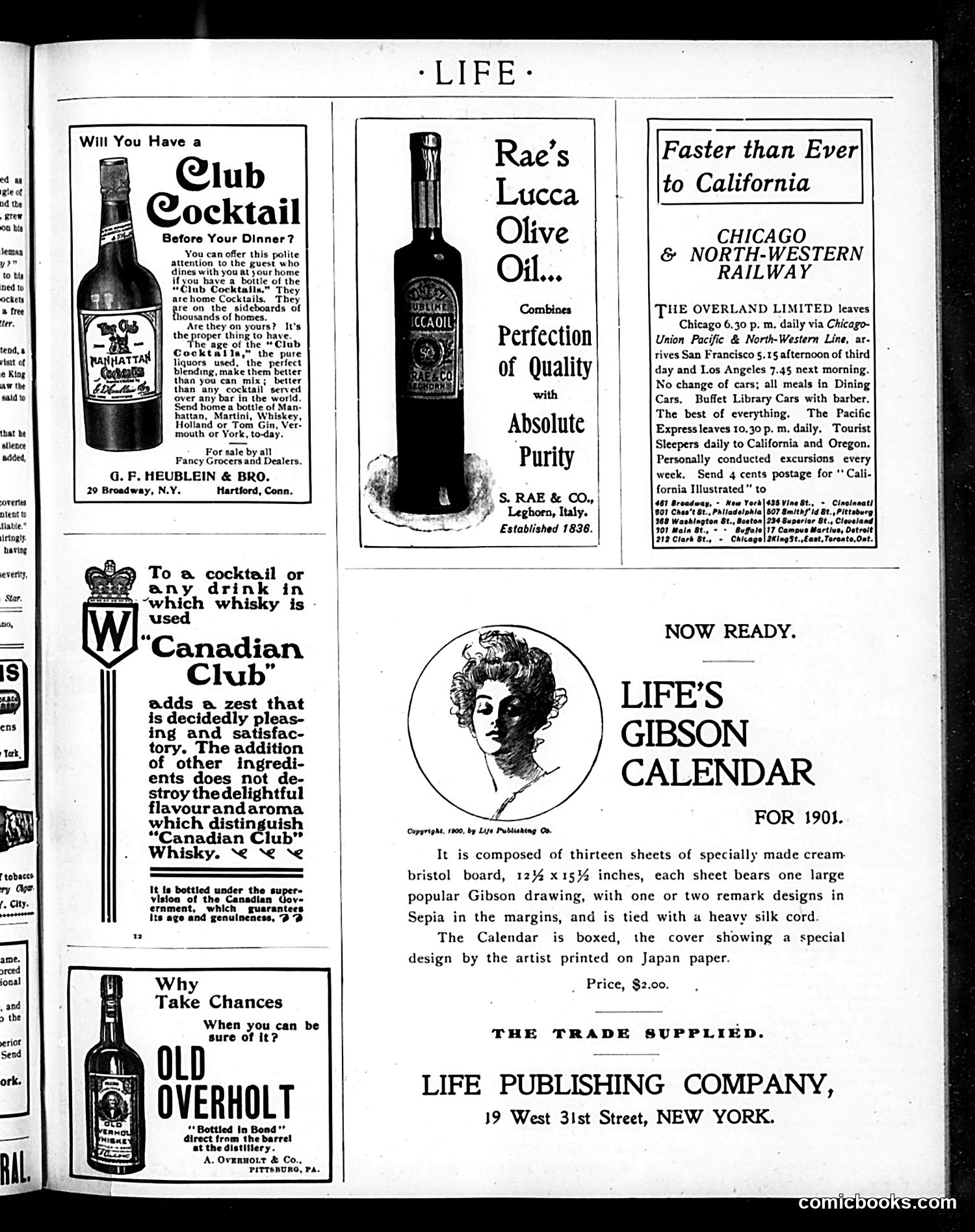 Life — October 25, 1900 — page 17 of 20
