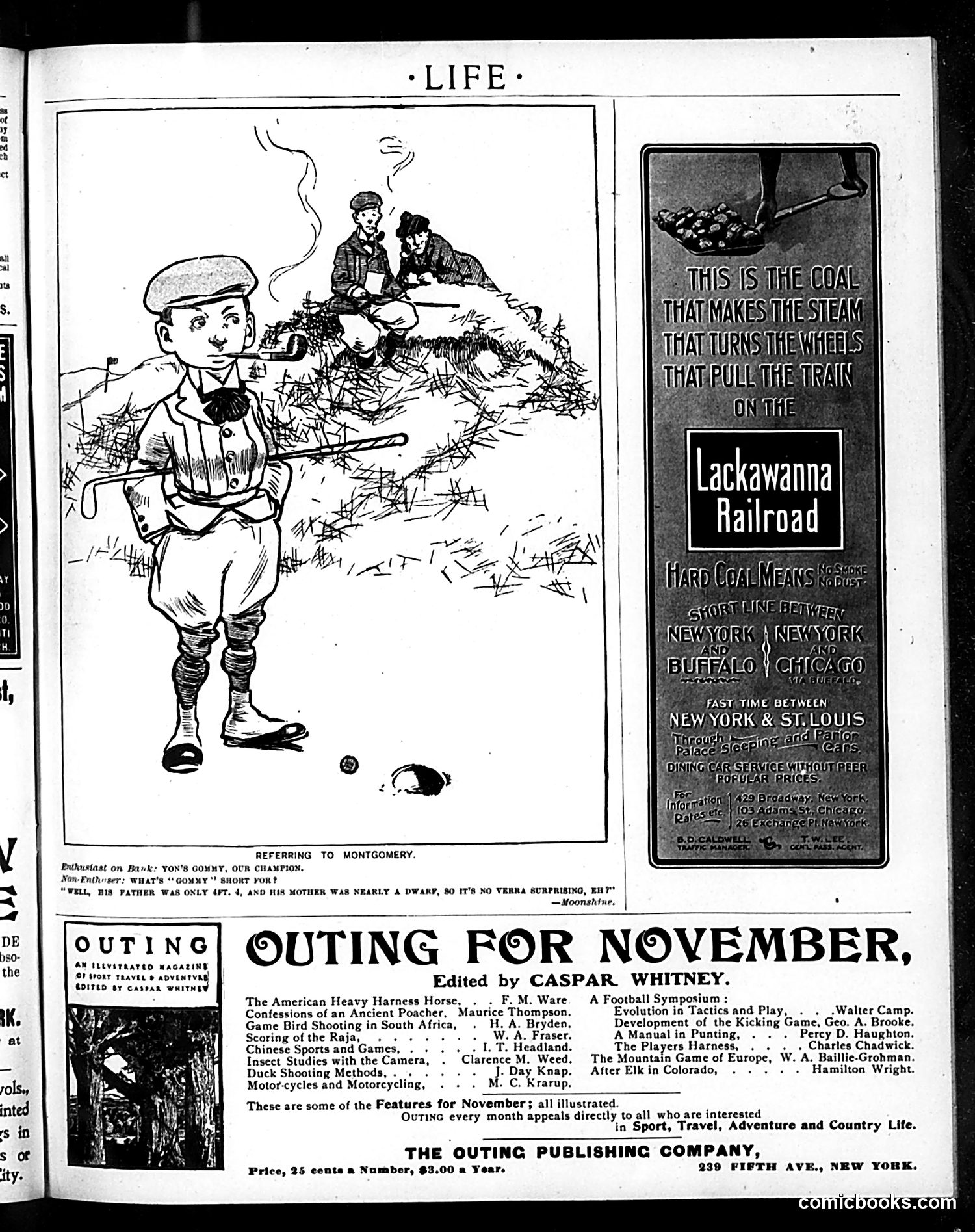 Life — October 25, 1900 — page 19 of 20