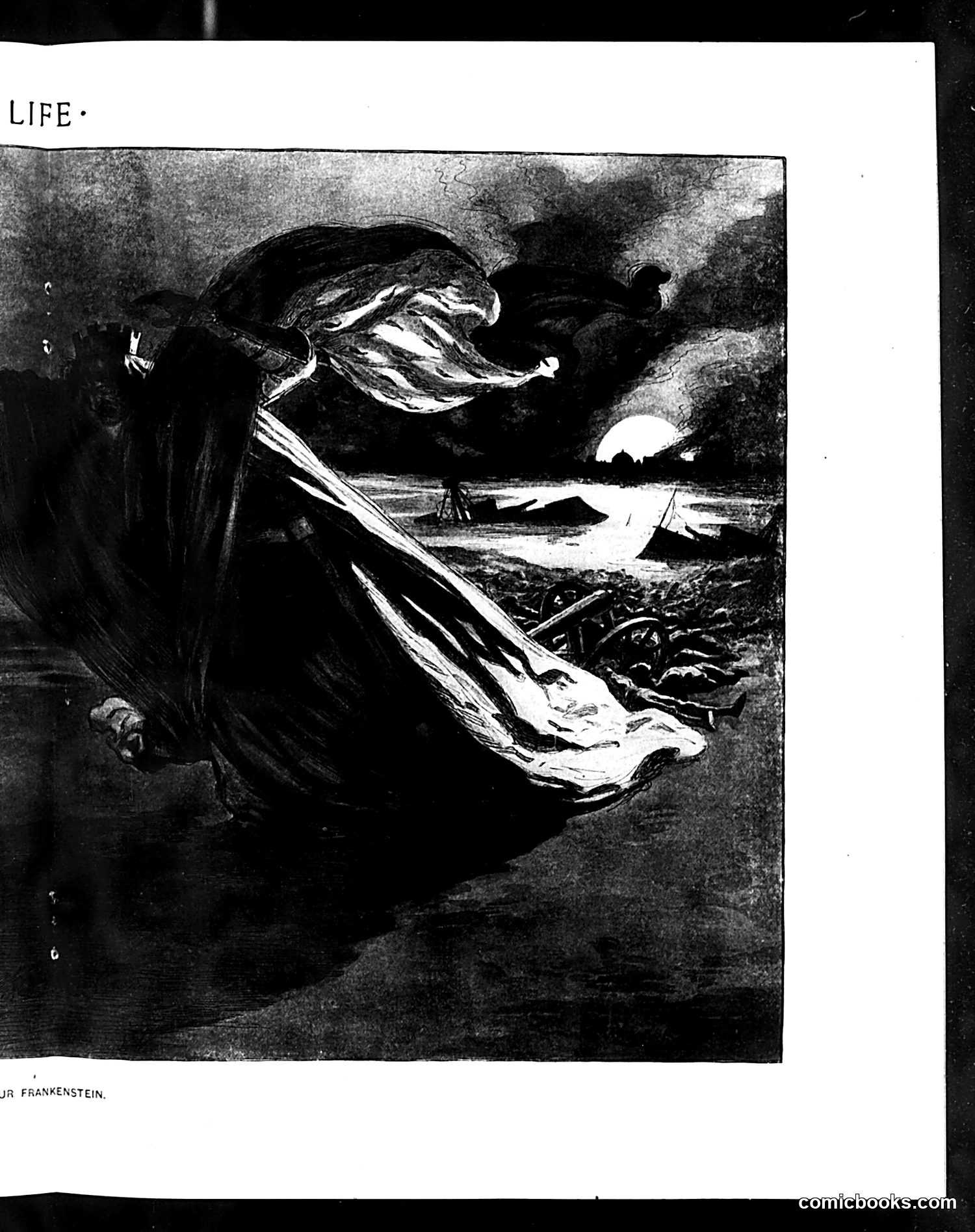 Life — November 1, 1900 — page 11 of 20