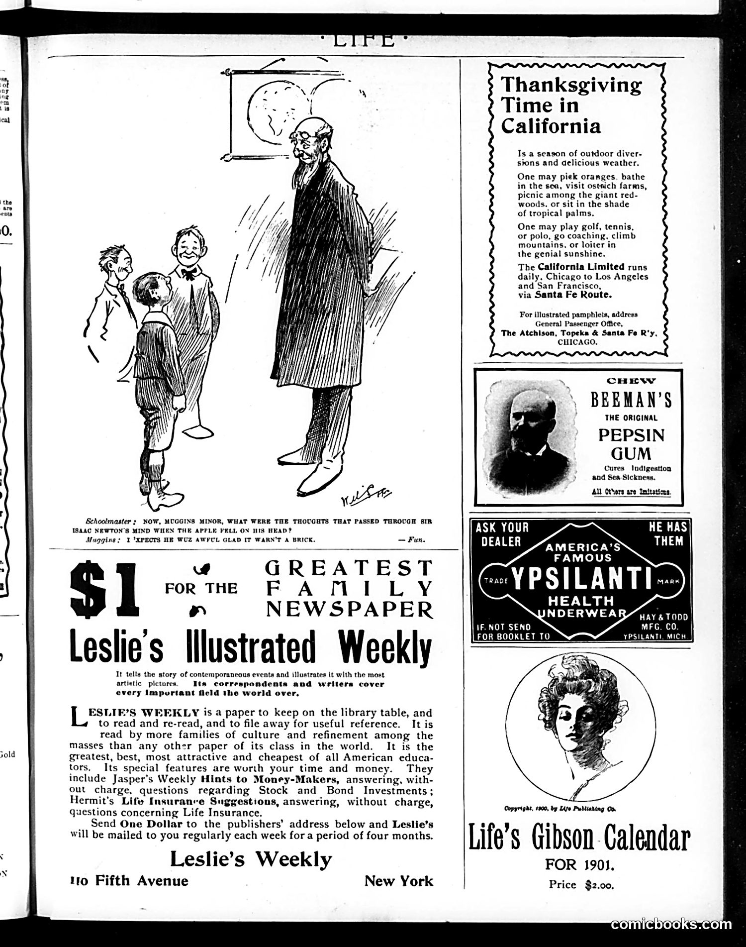 Life — November 22, 1900 — page 19 of 20