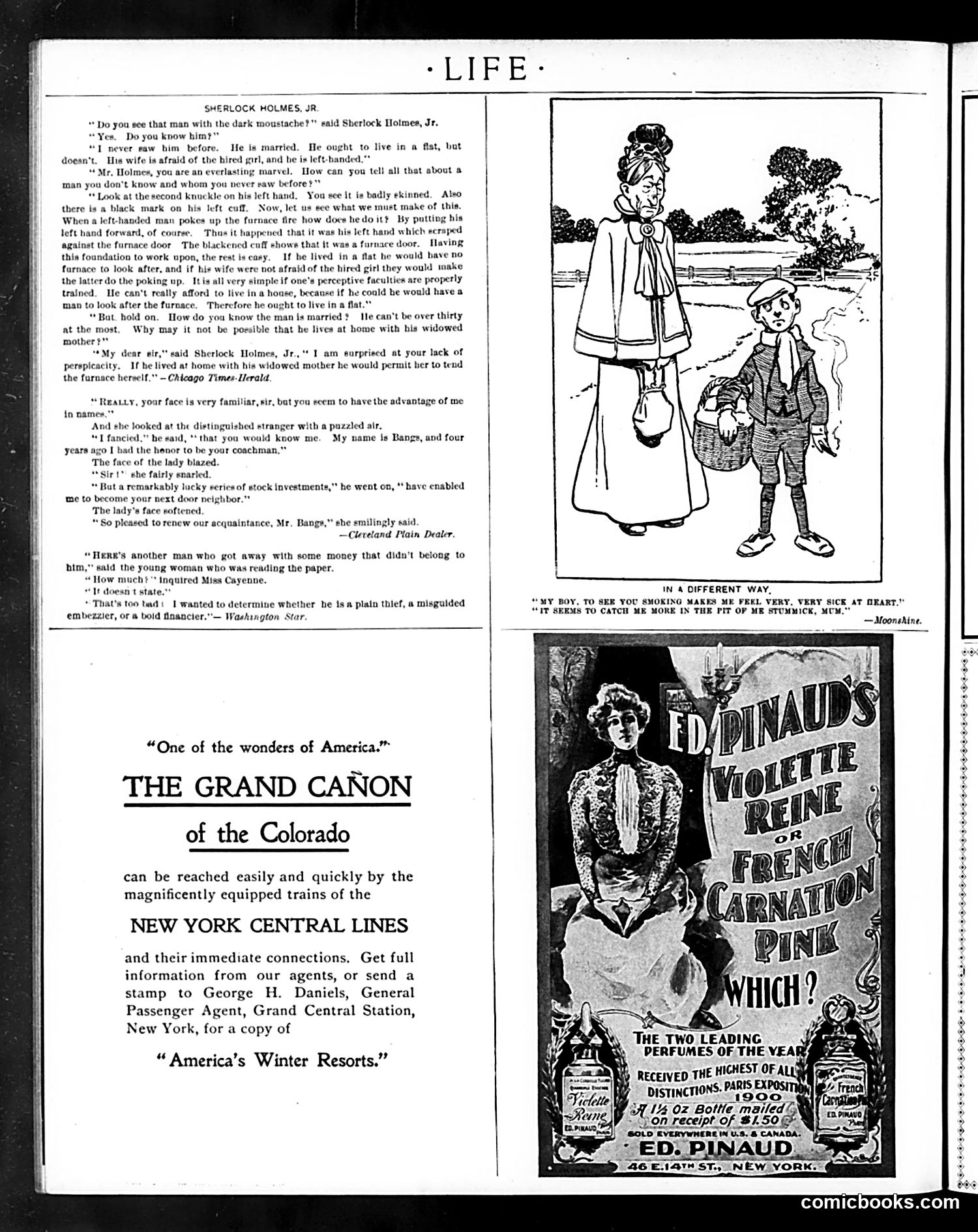 Life — December 1, 1900 — page 38 of 44